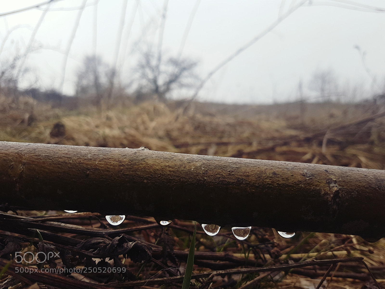 Samsung Galaxy S7 Edge sample photo. 20180317_165545.jpg photography