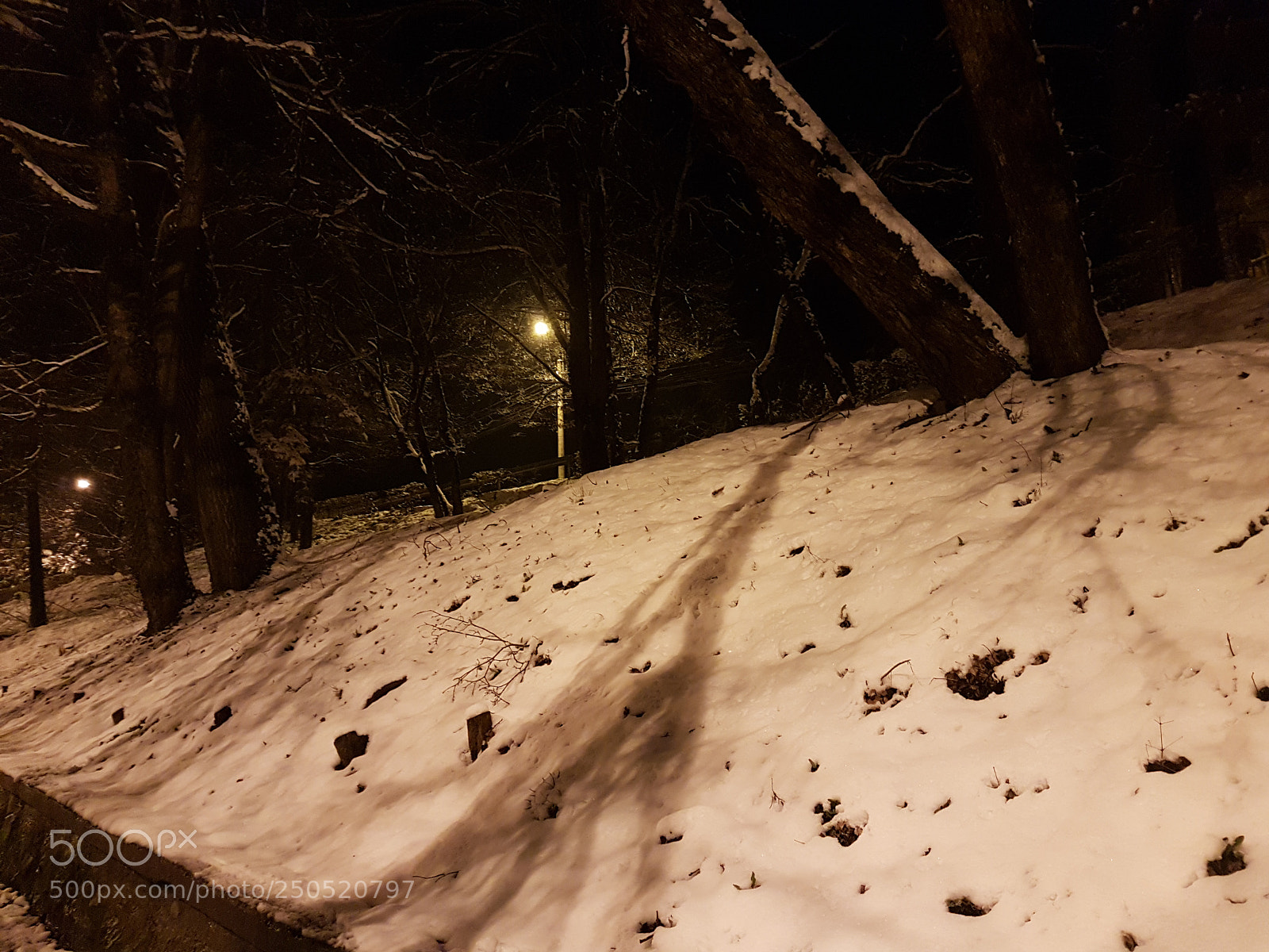 Samsung Galaxy S7 Edge sample photo. 20180323_193205.jpg photography