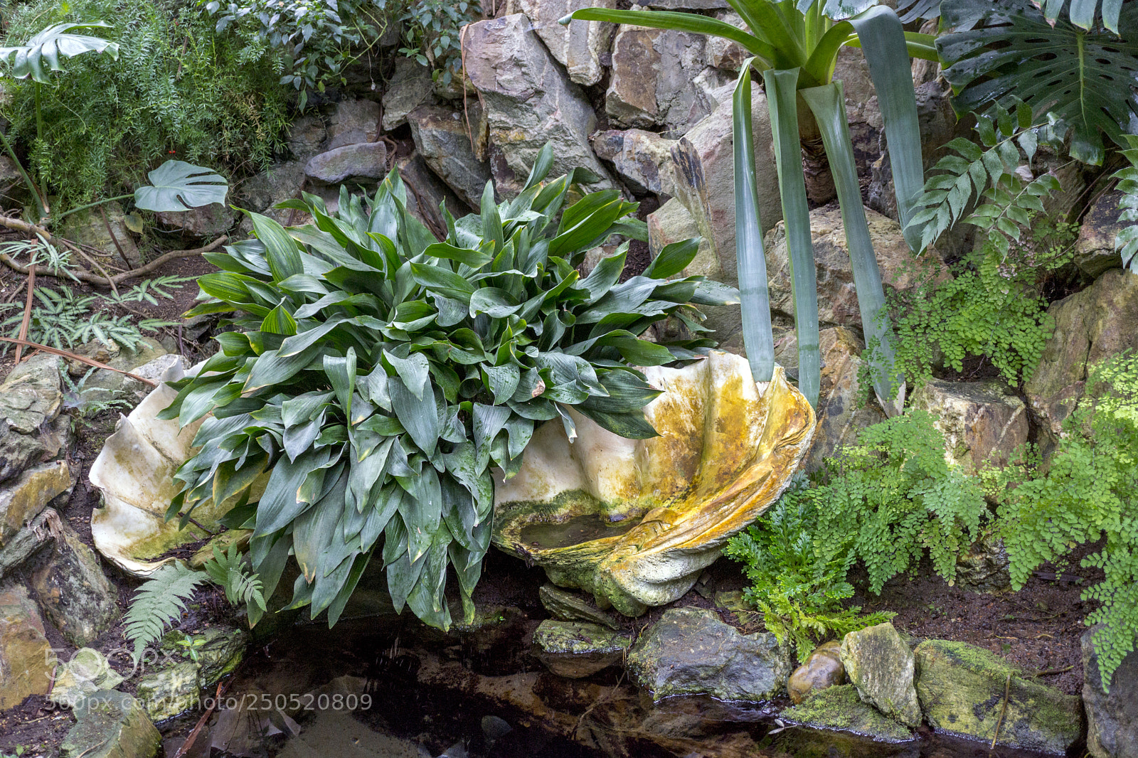 Sony Alpha NEX-7 sample photo. Palmengarten frankfurt-am-main photography