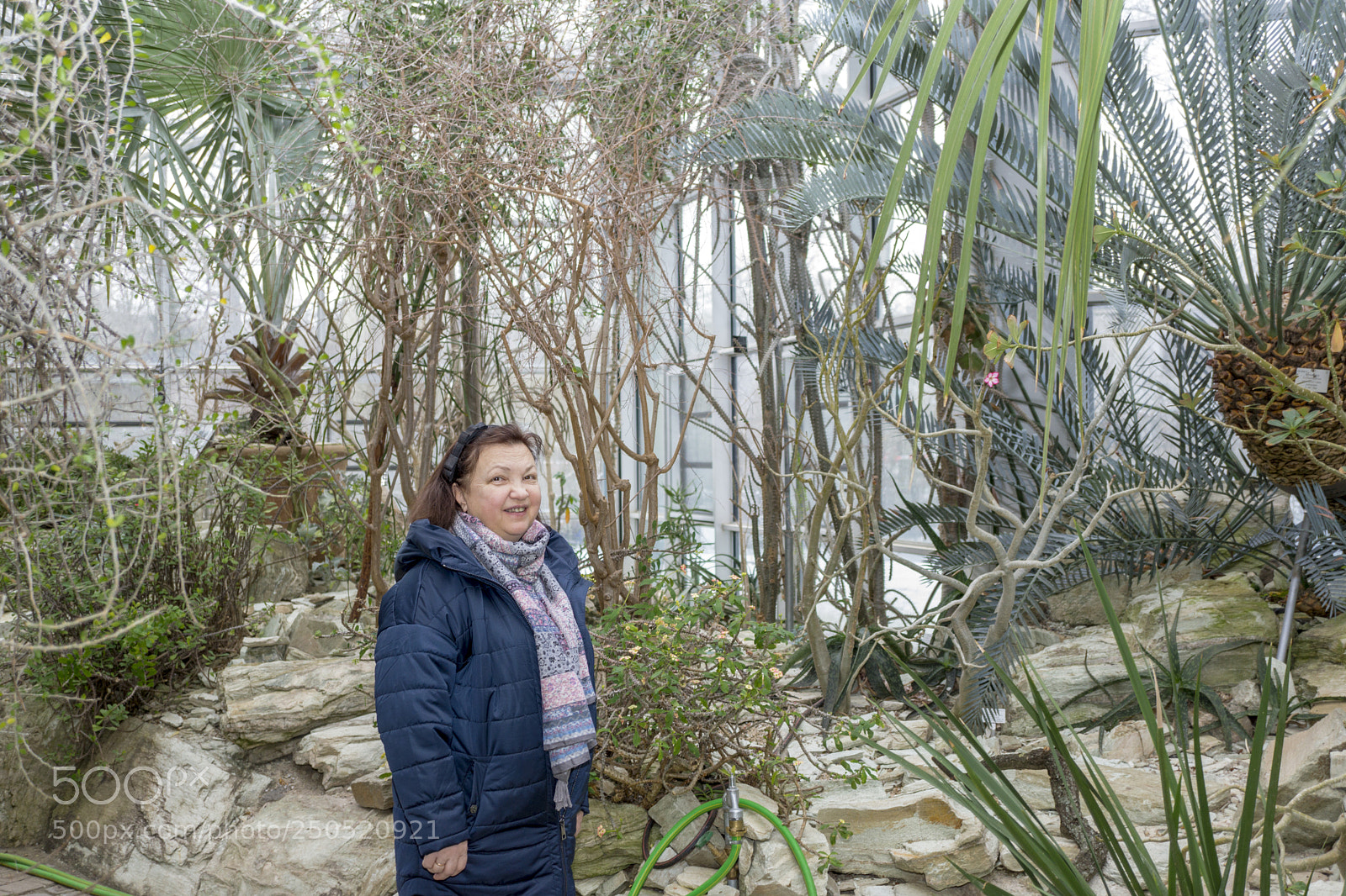 Sony Alpha NEX-7 sample photo. Palmengarten frankfurt-am-main photography
