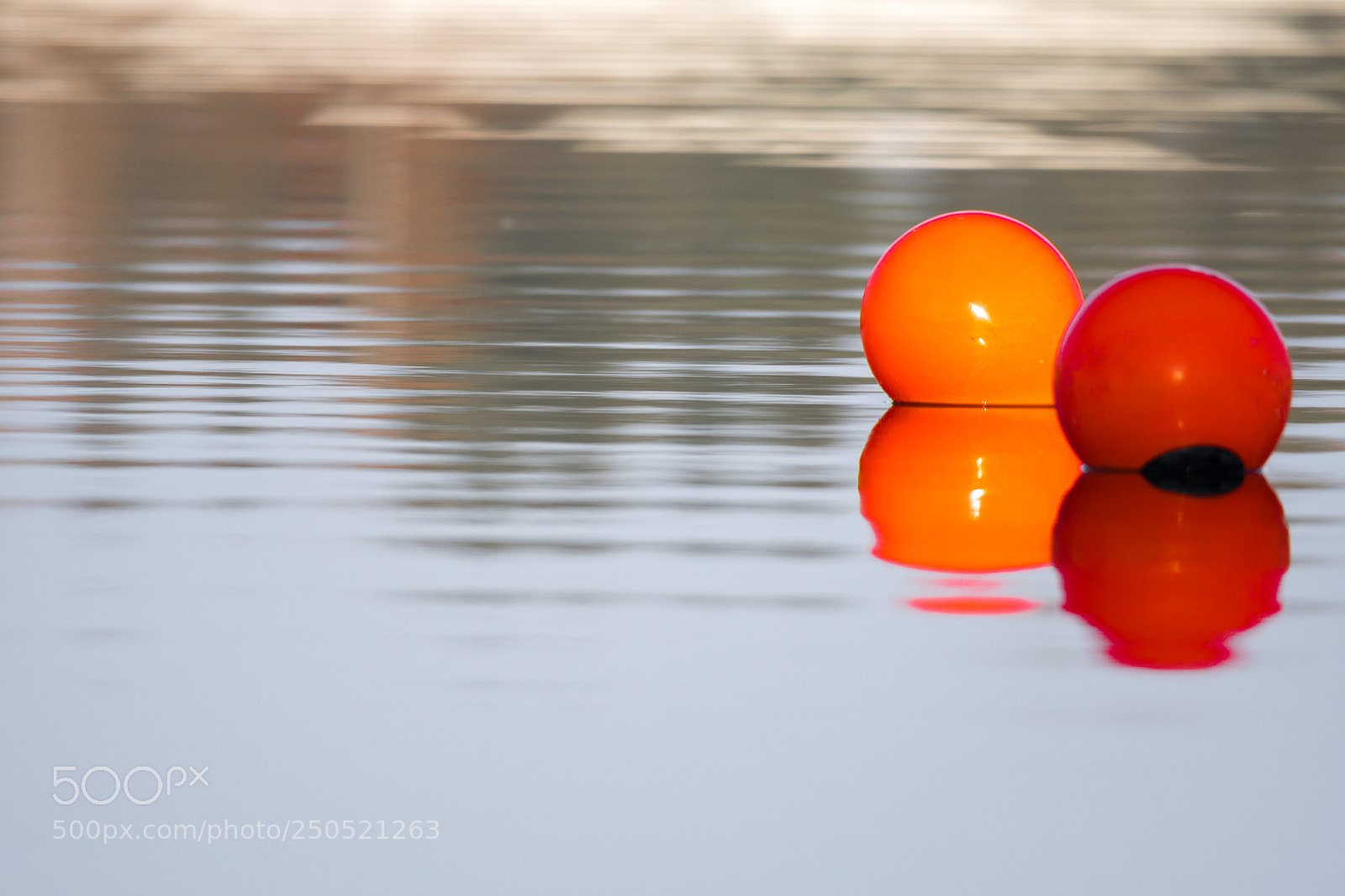 Nikon D7500 sample photo. Two buoys photography