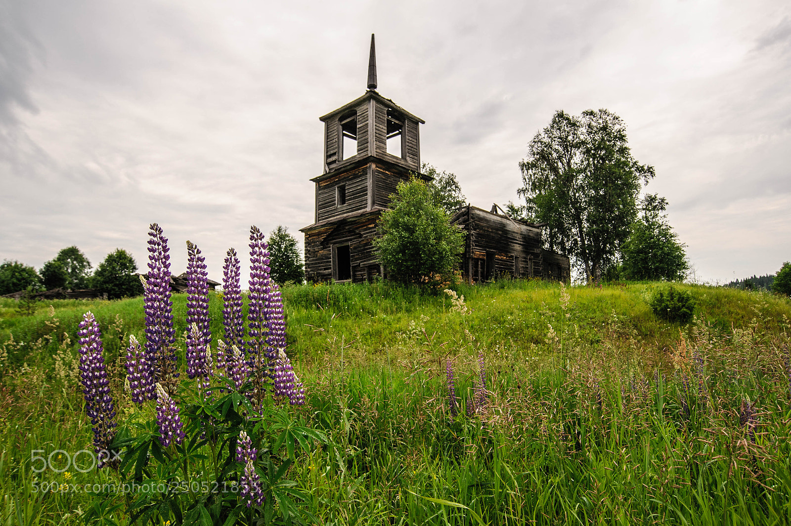 Nikon D700 sample photo. Церковь в селе Ужгинское photography
