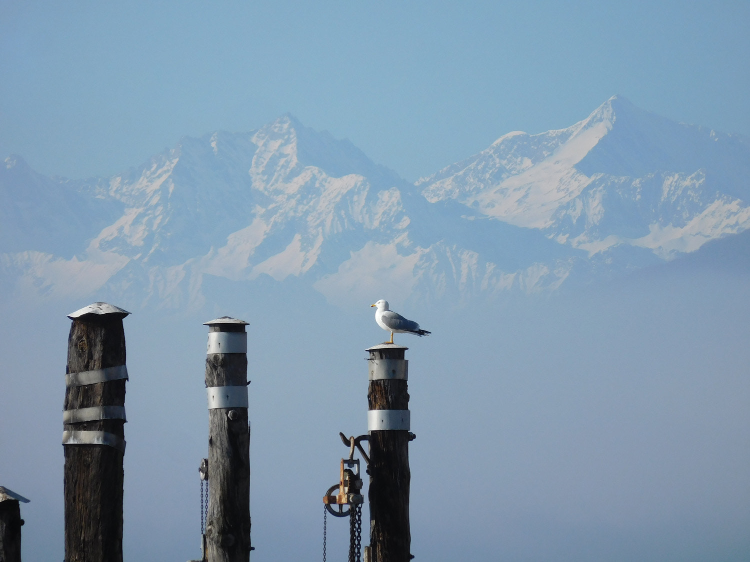 Nikon Coolpix S7000 sample photo. Seagull's rest photography