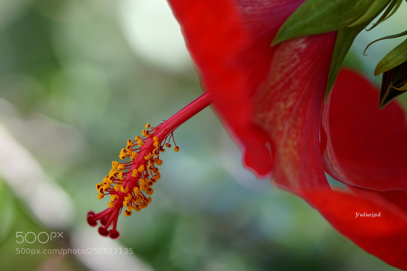 Sony a6000 sample photo. Grams of pure sauce photography
