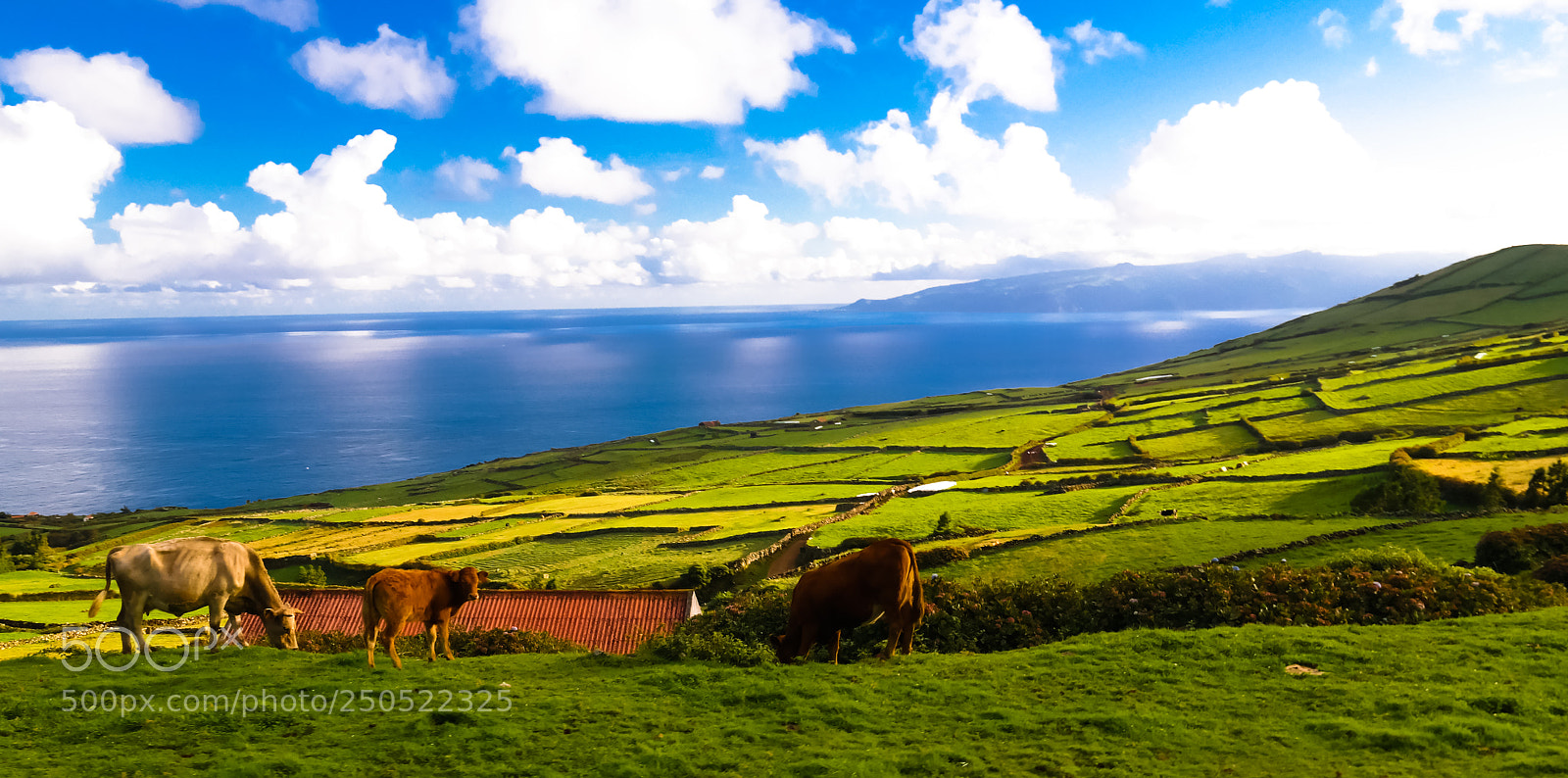 Samsung NX30 sample photo. Landscape with agriculture fields photography