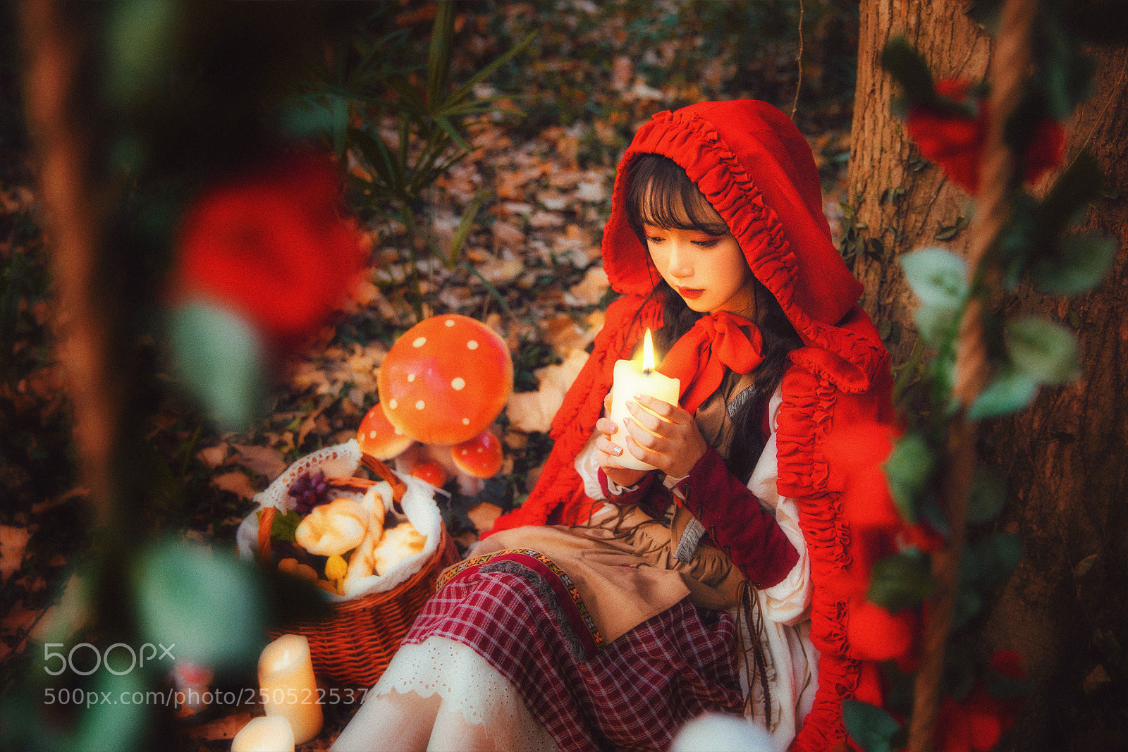 Canon EOS 5D Mark IV sample photo. Untitled photography