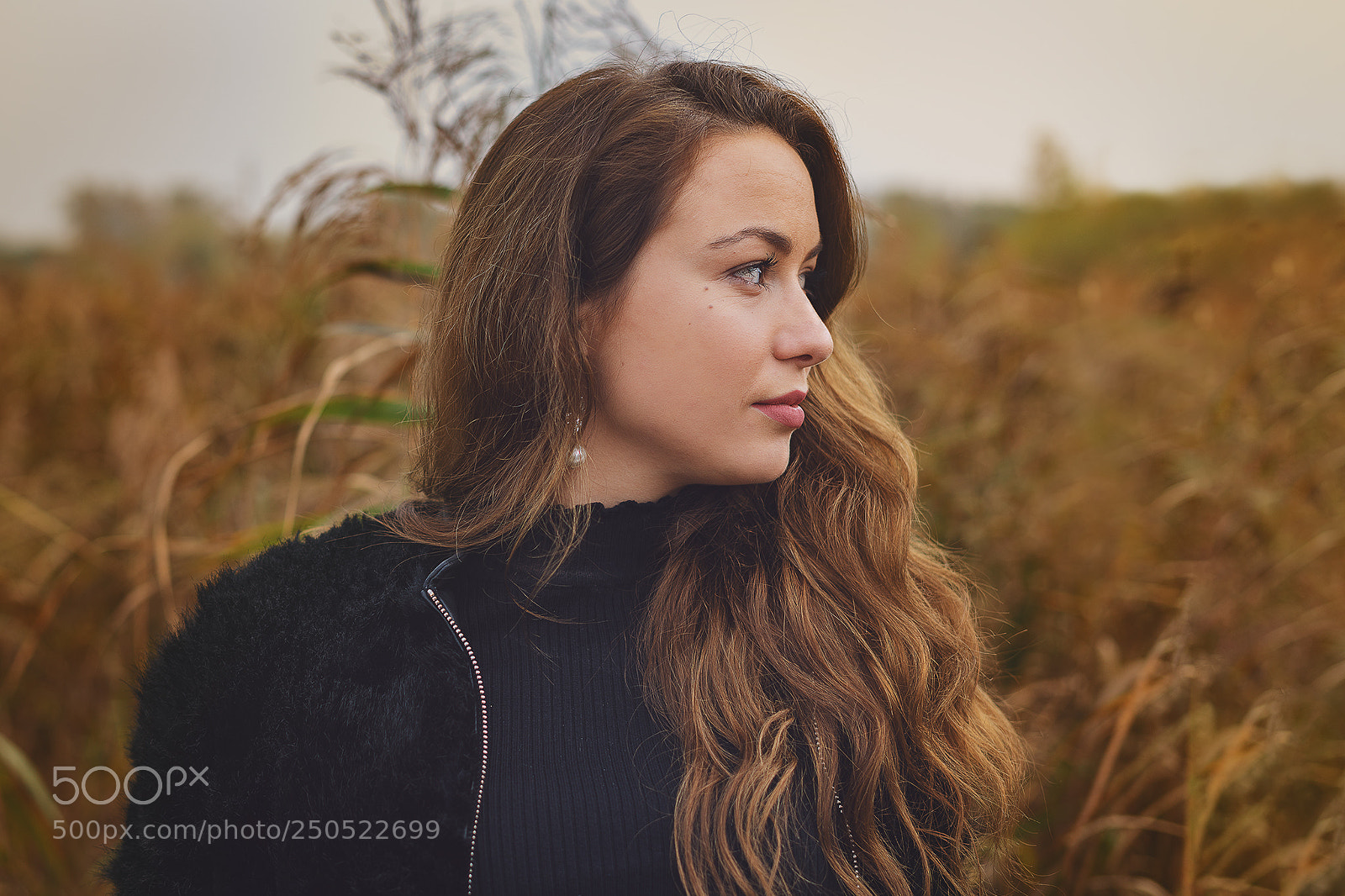 Sony a7R II sample photo. Golden photography