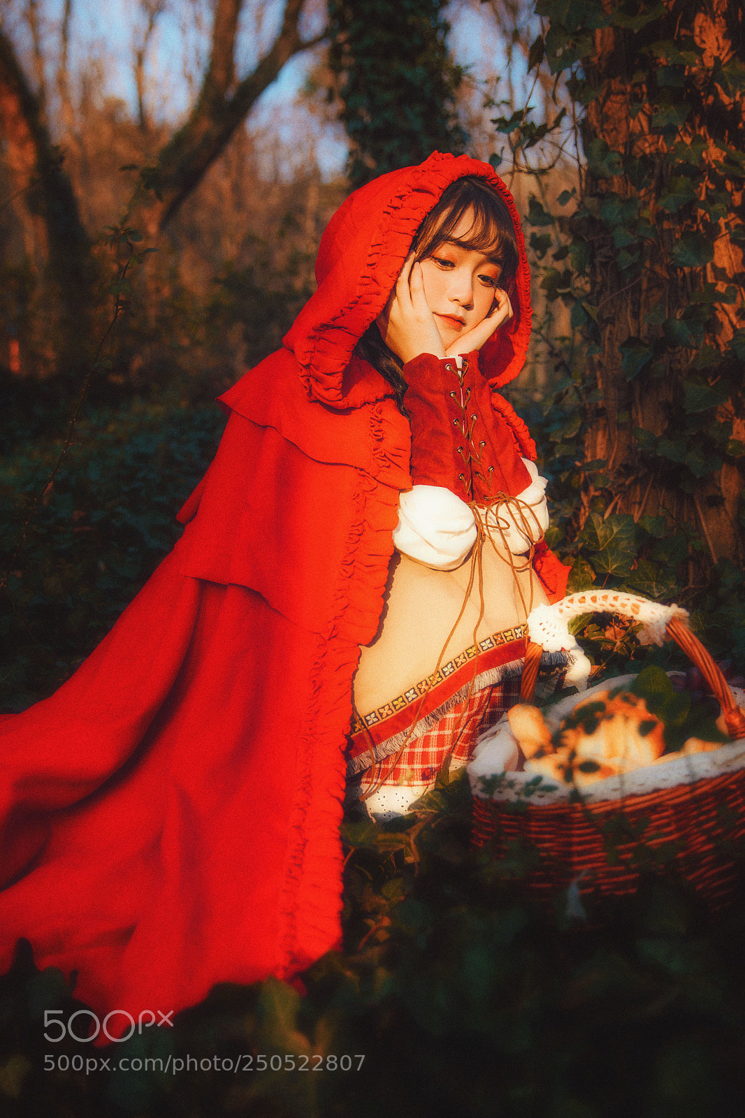 Canon EOS 5D Mark IV sample photo. Untitled photography