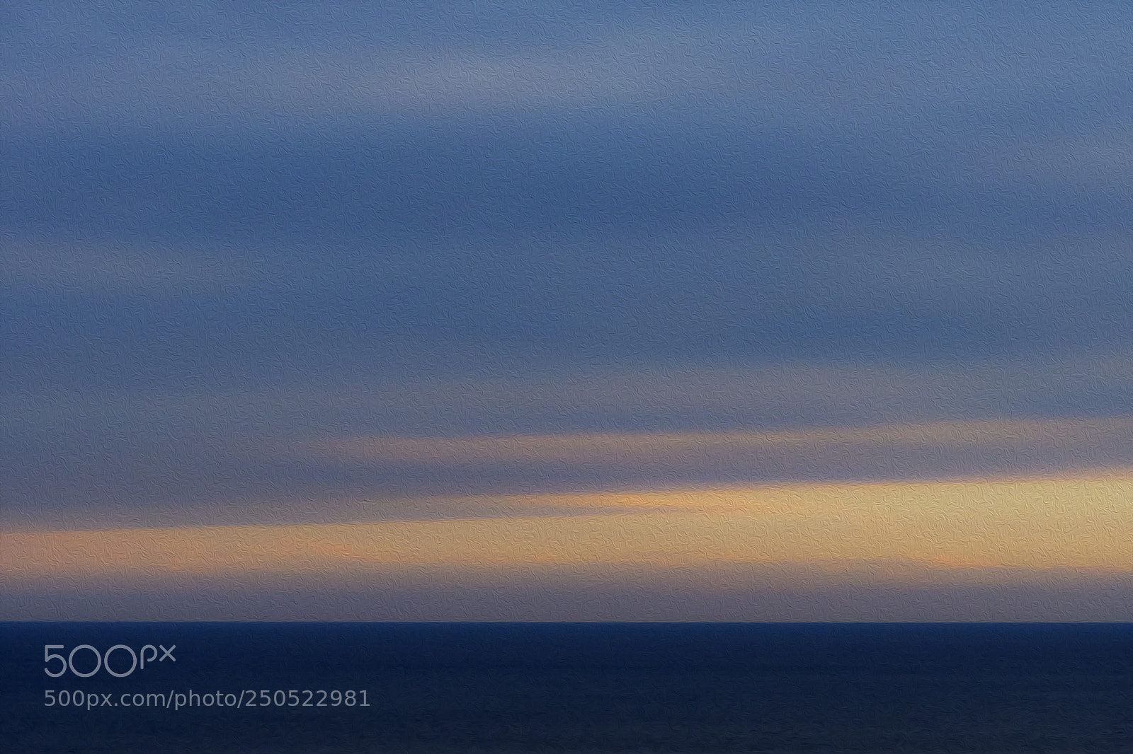 Nikon D500 sample photo. Les couleurs de cassis photography