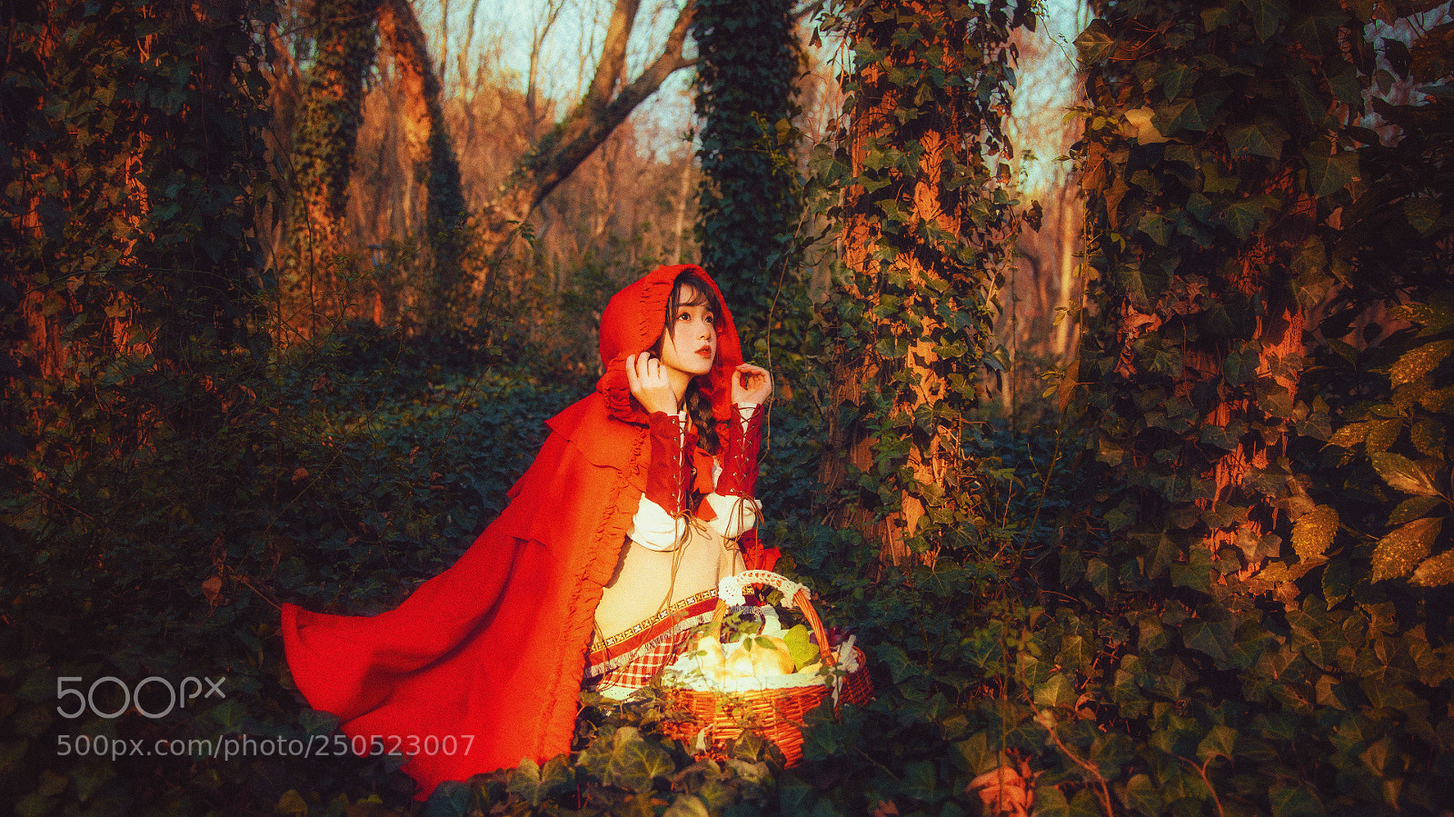 Canon EOS 5D Mark IV sample photo. Untitled photography