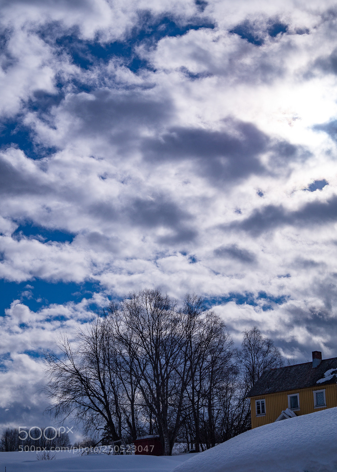 Sony SLT-A58 sample photo. The yellow house photography