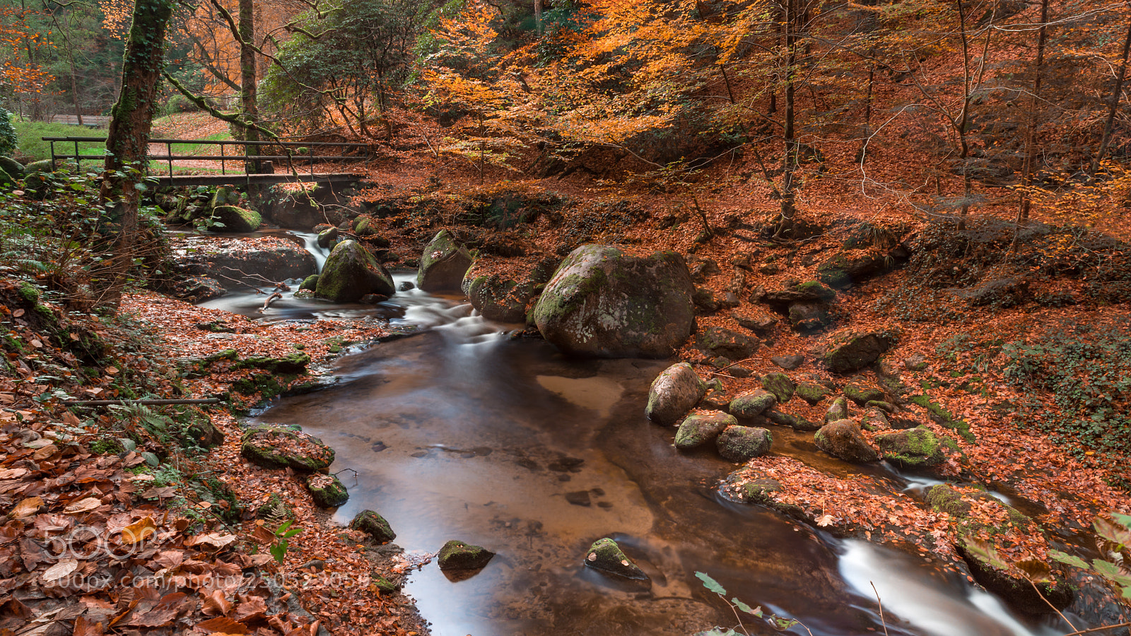 Canon EOS 5D Mark IV sample photo. Bridge photography