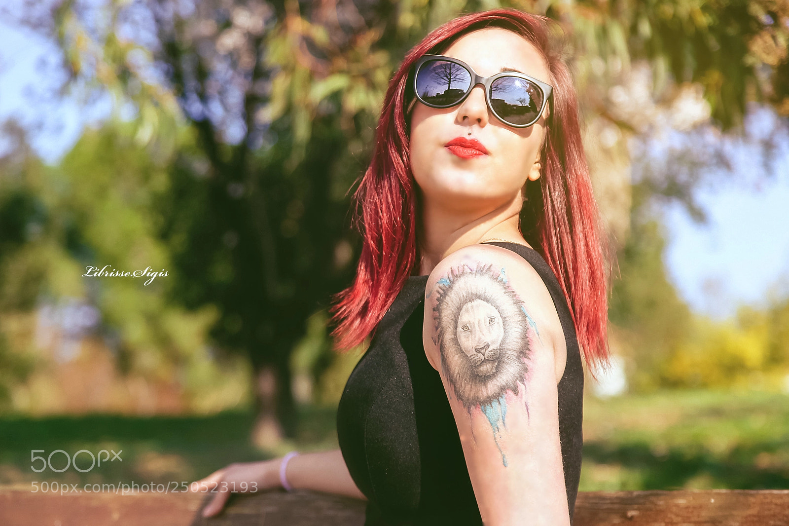 Canon EOS 5D Mark II sample photo. Untitled photography