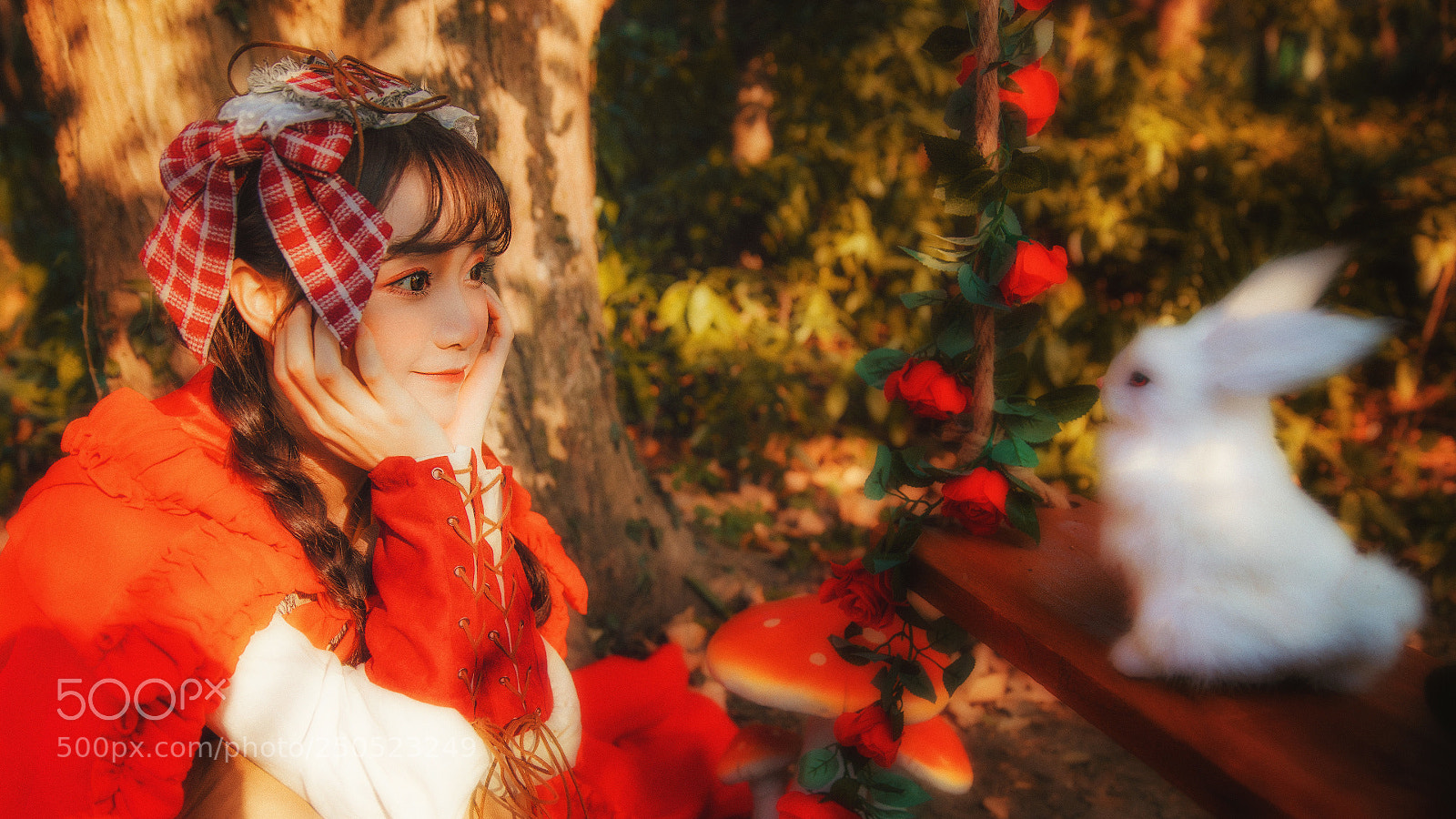 Canon EOS 5D Mark IV sample photo. Untitled photography