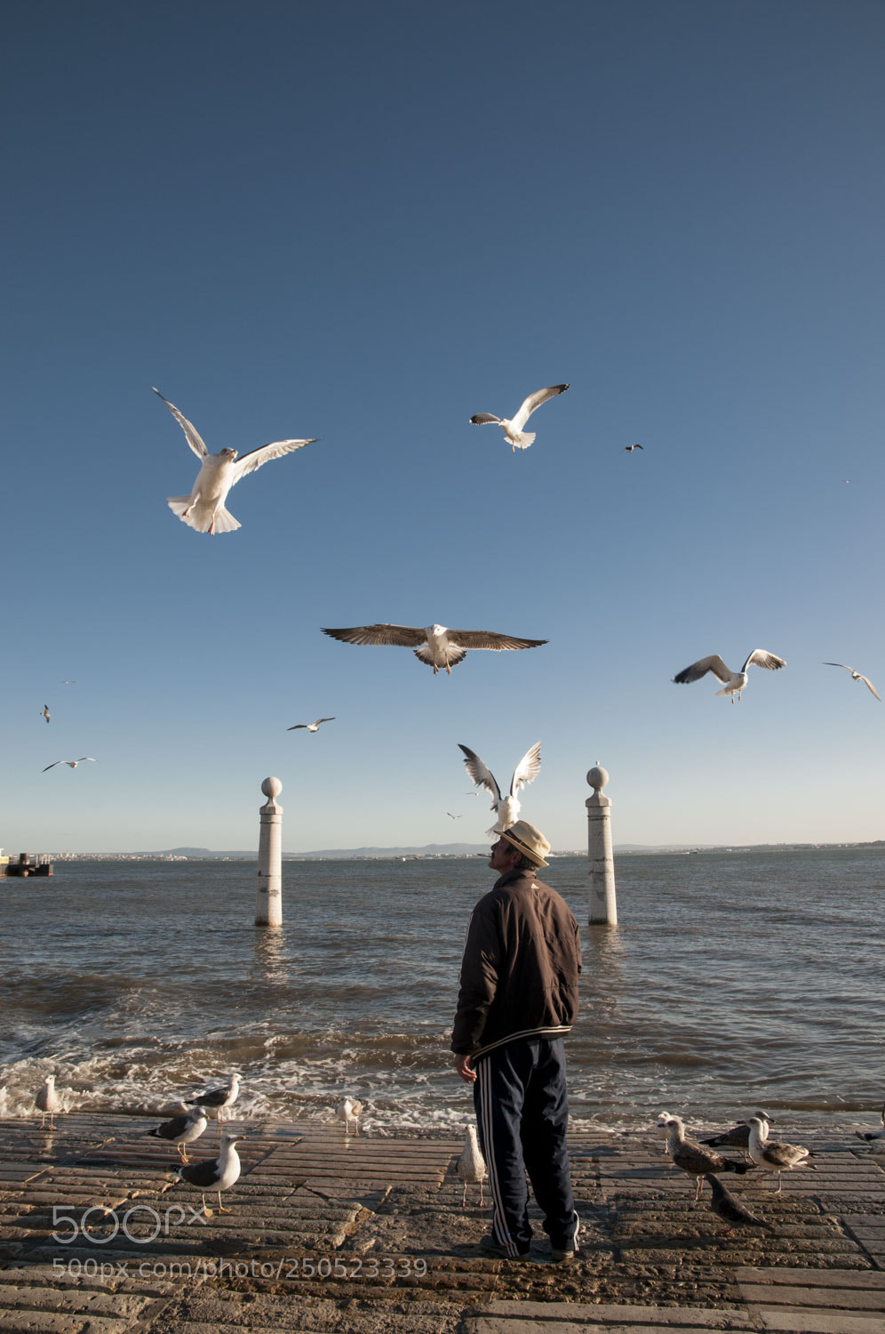 Nikon D300S sample photo. Portugal photography