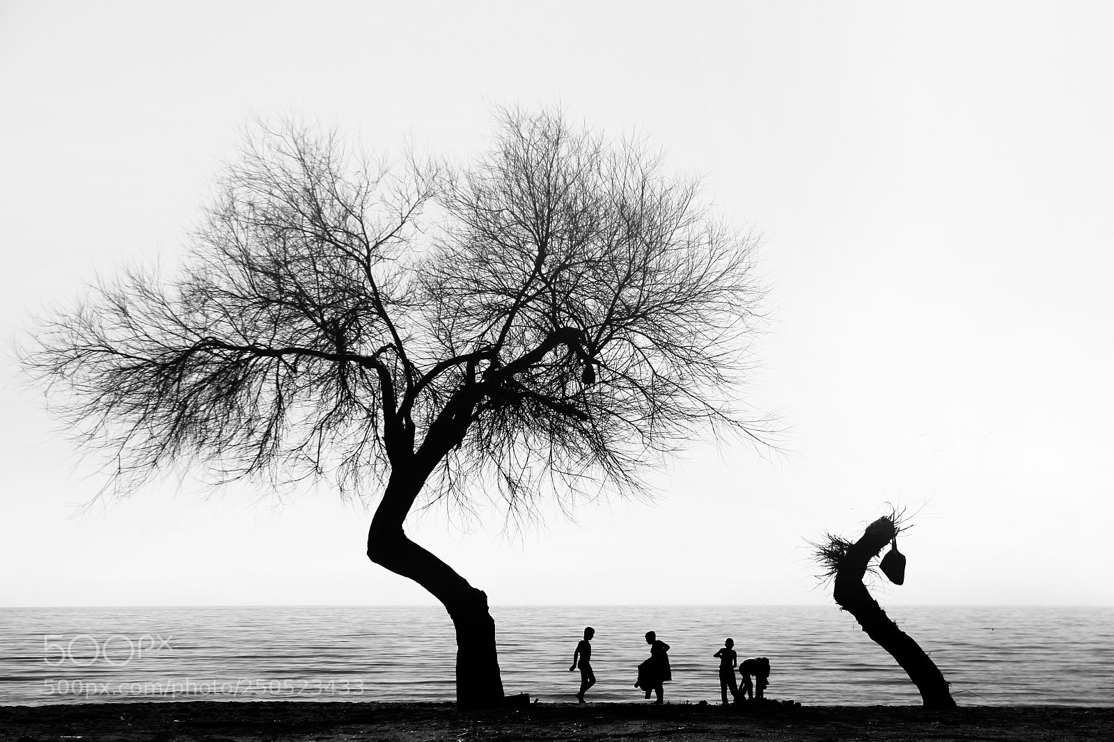 Canon EOS 60D sample photo. C h i l photography