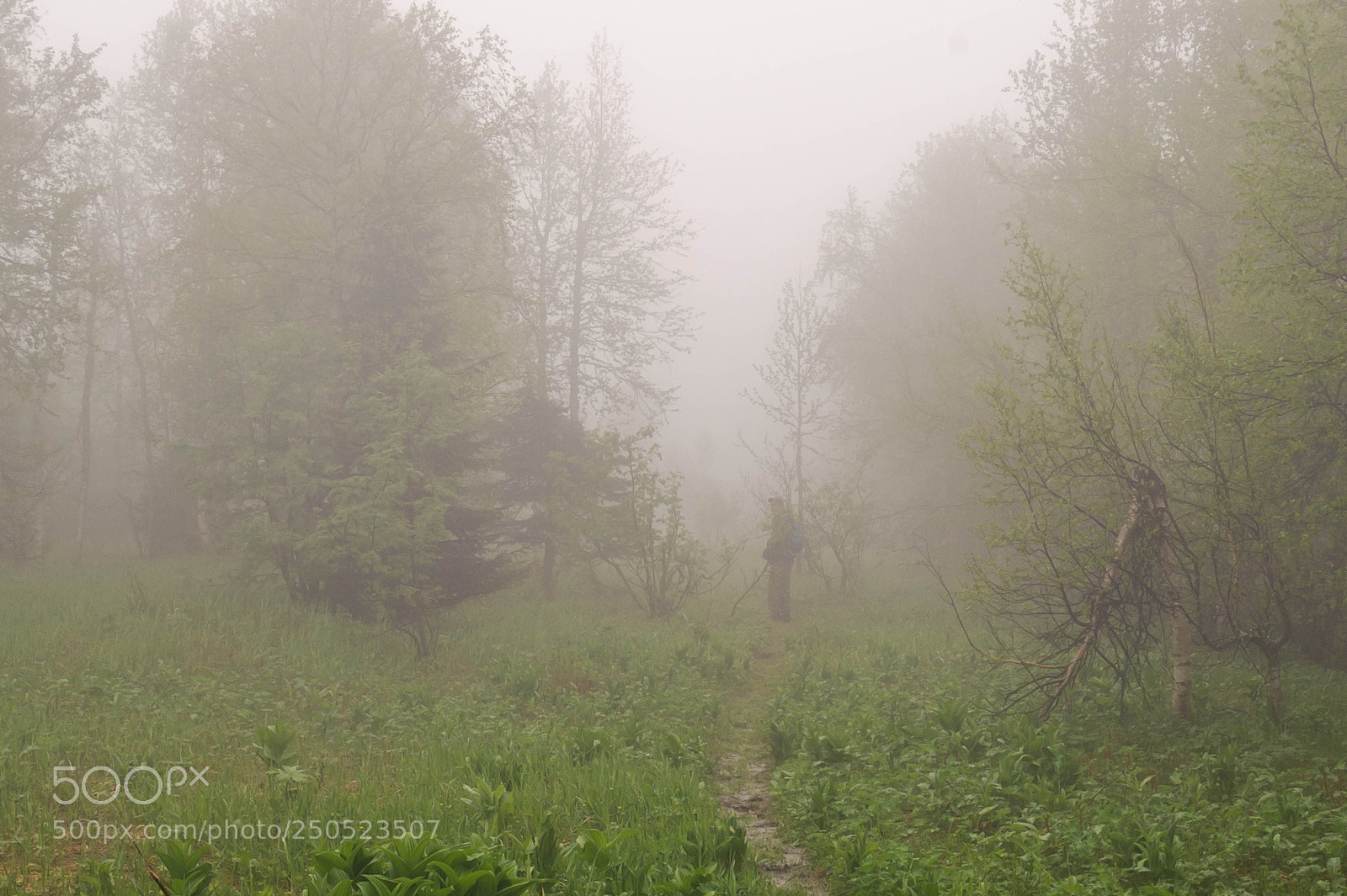 Nikon D700 sample photo. Чувальский камень photography