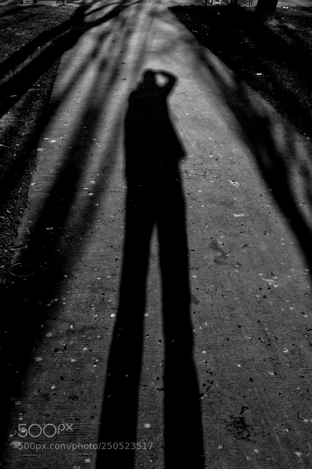 Canon EOS 60D sample photo. Shadows photography