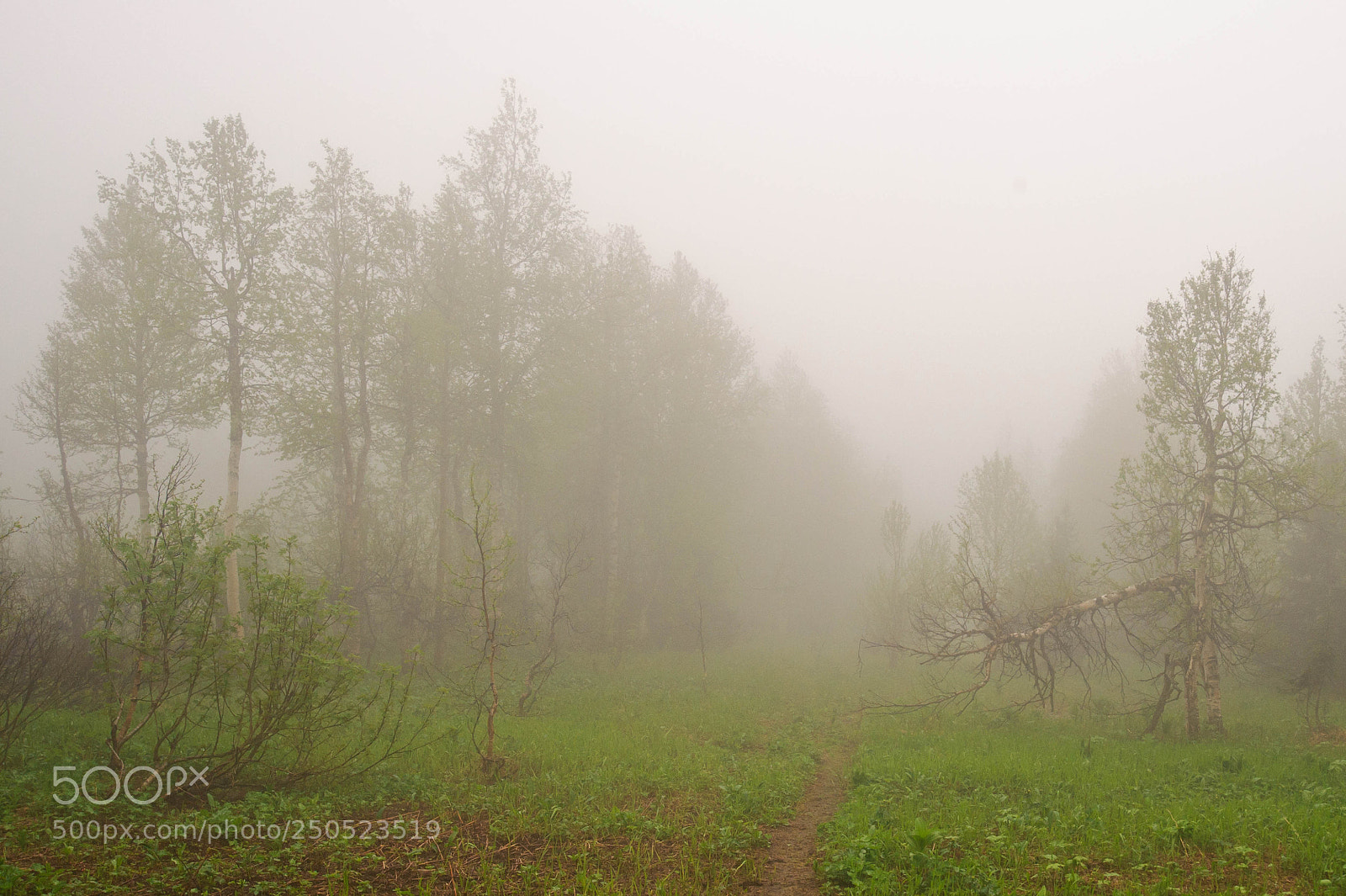 Nikon D700 sample photo. Чувальский камень photography
