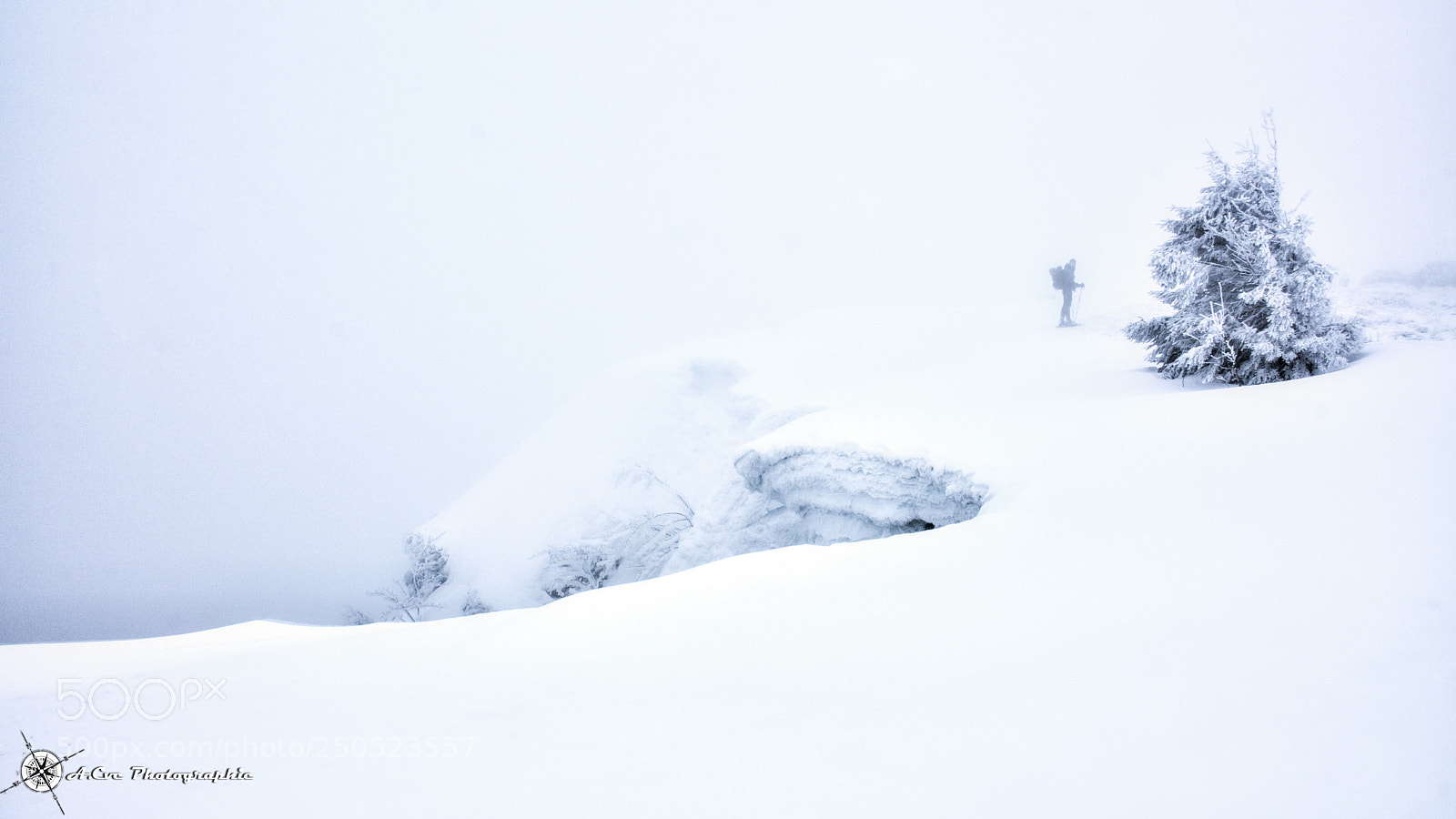 Nikon D7200 sample photo. In the fog photography