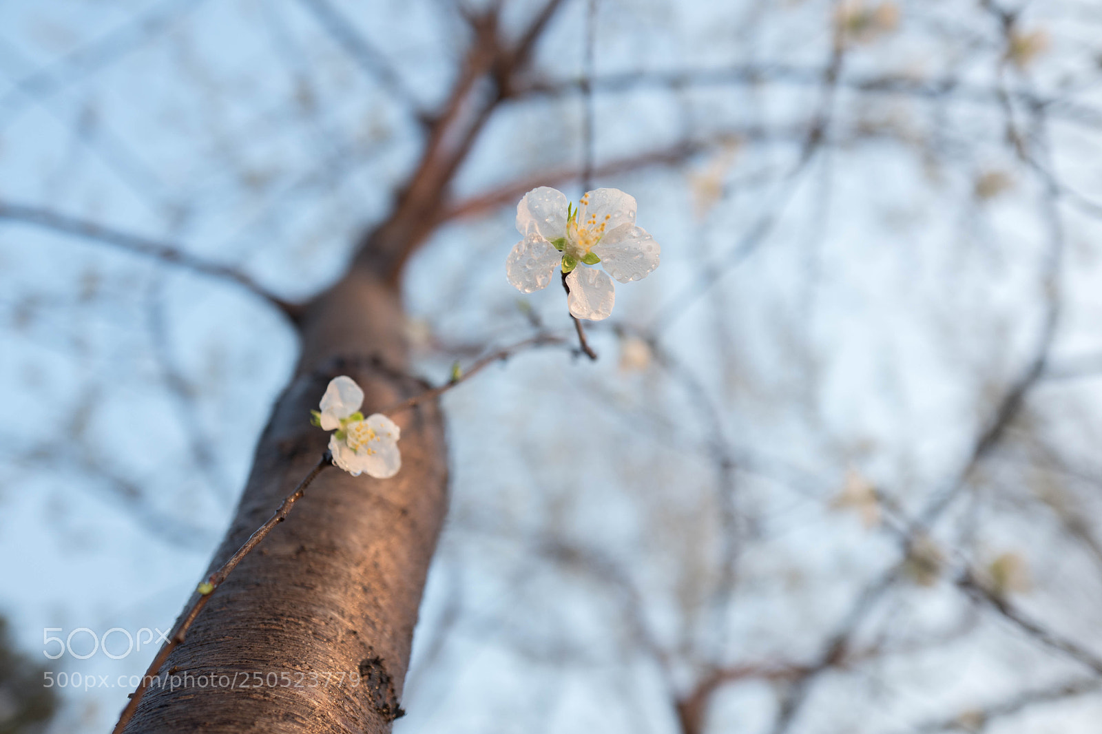 Leica Q (Typ 116) sample photo. L photography