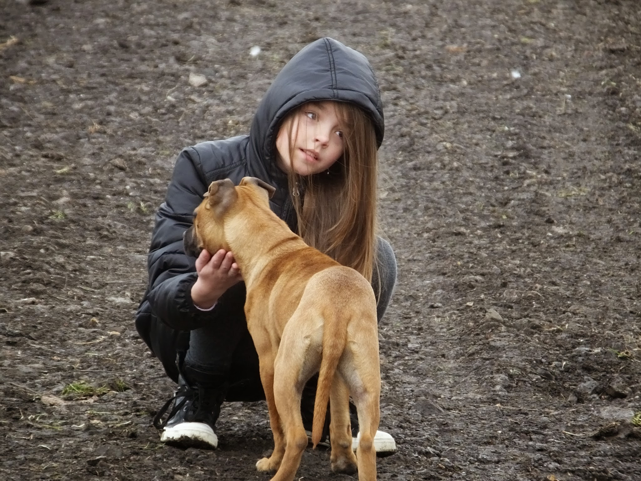 Fujifilm FinePix HS50 EXR sample photo. A girl with a puppy photography