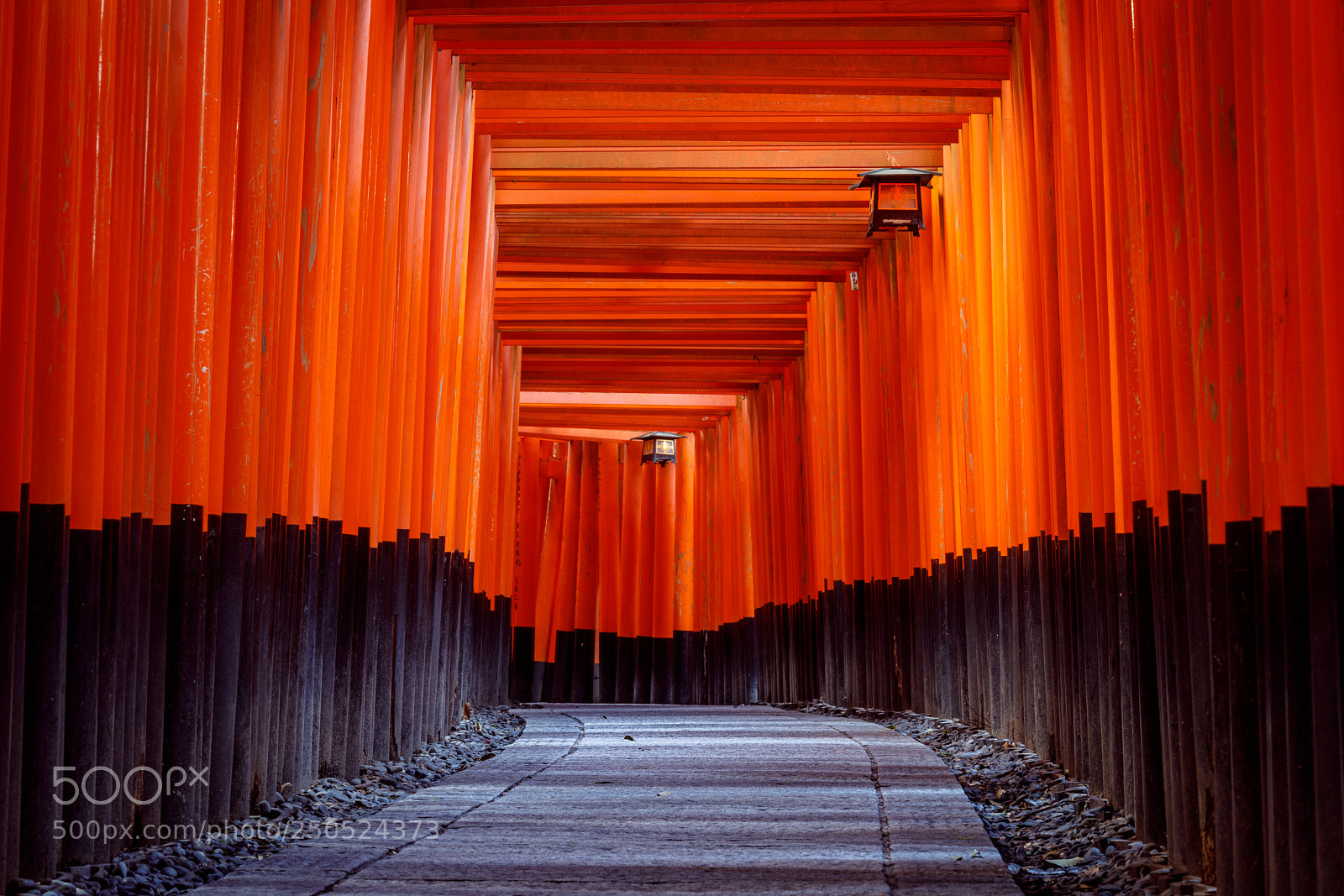Canon EOS 5D Mark IV sample photo. The thousand gates photography