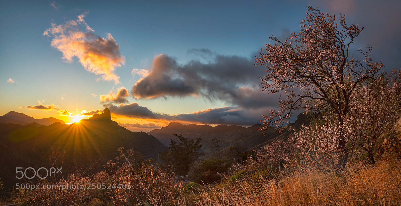 Nikon D610 sample photo. Cumbre y almendros photography