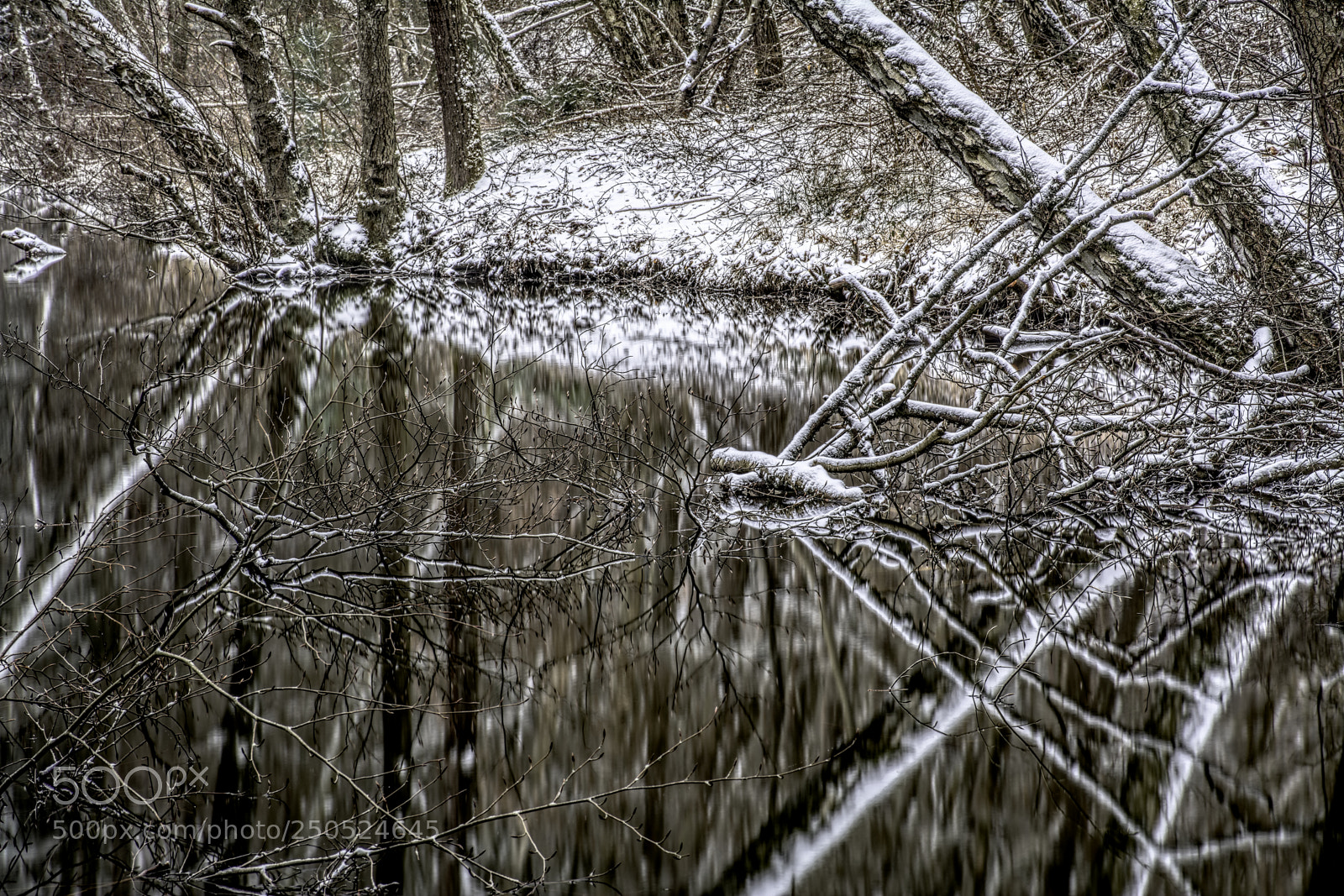Nikon D7100 sample photo. Pond21 photography