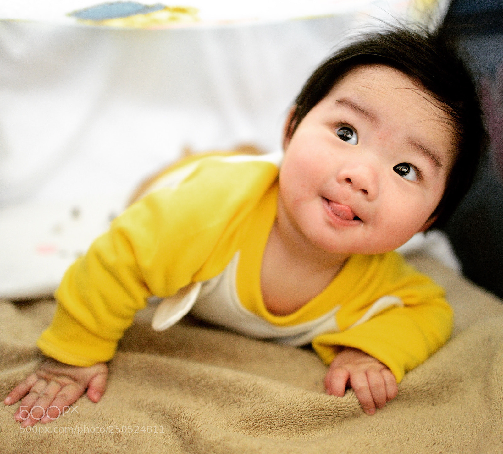 Nikon D800 sample photo. Untitled photography