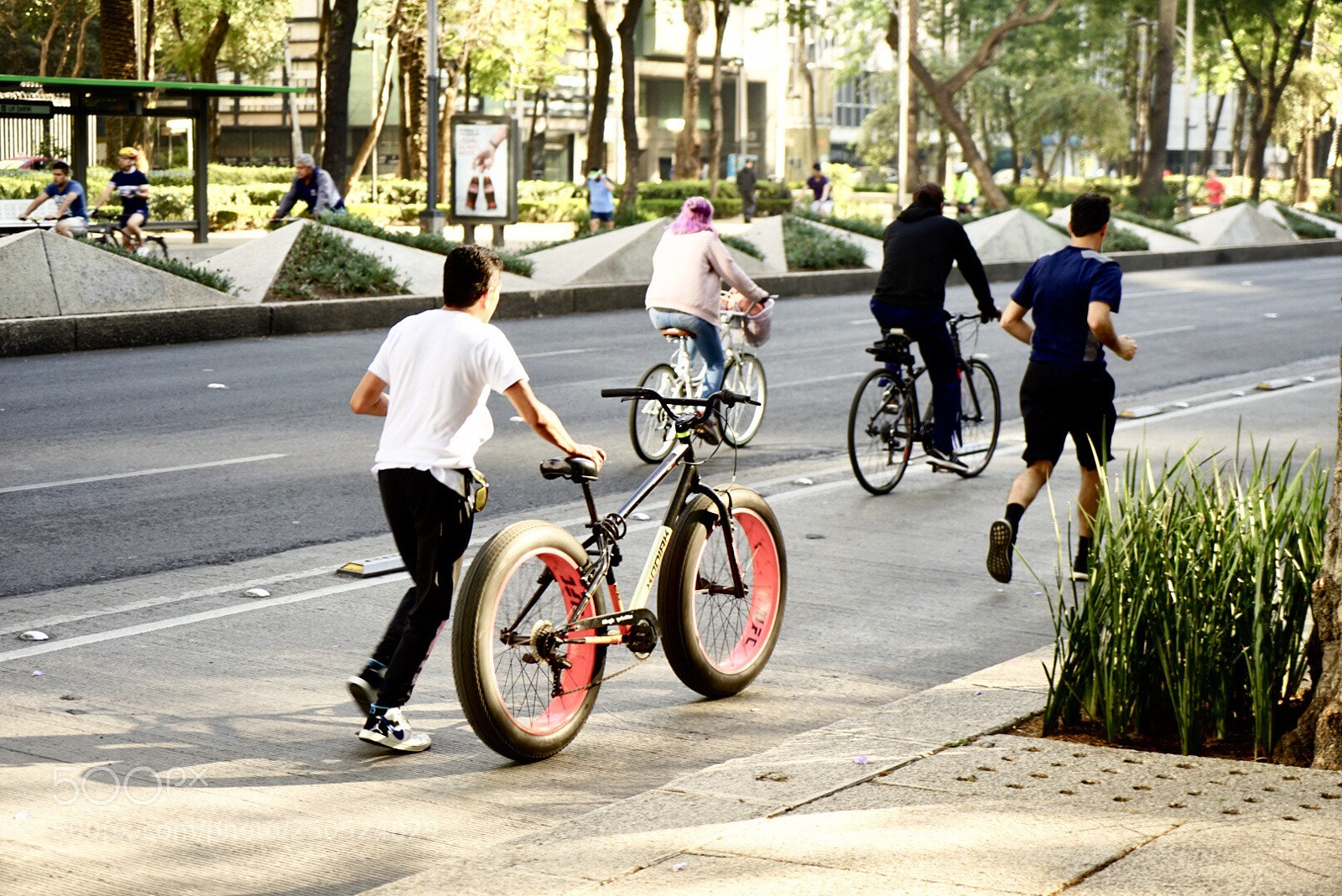 Sony a7 II sample photo. Exercising the bike photography