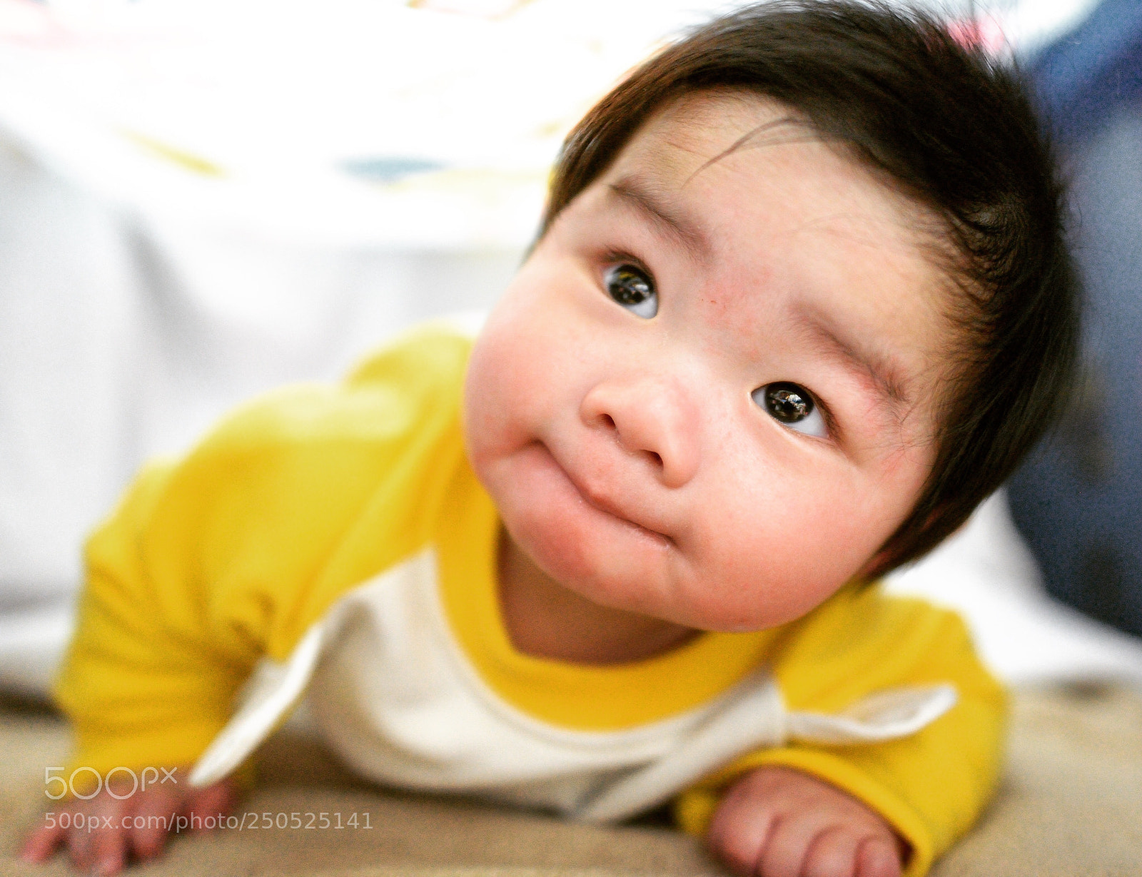 Nikon D800 sample photo. Untitled photography