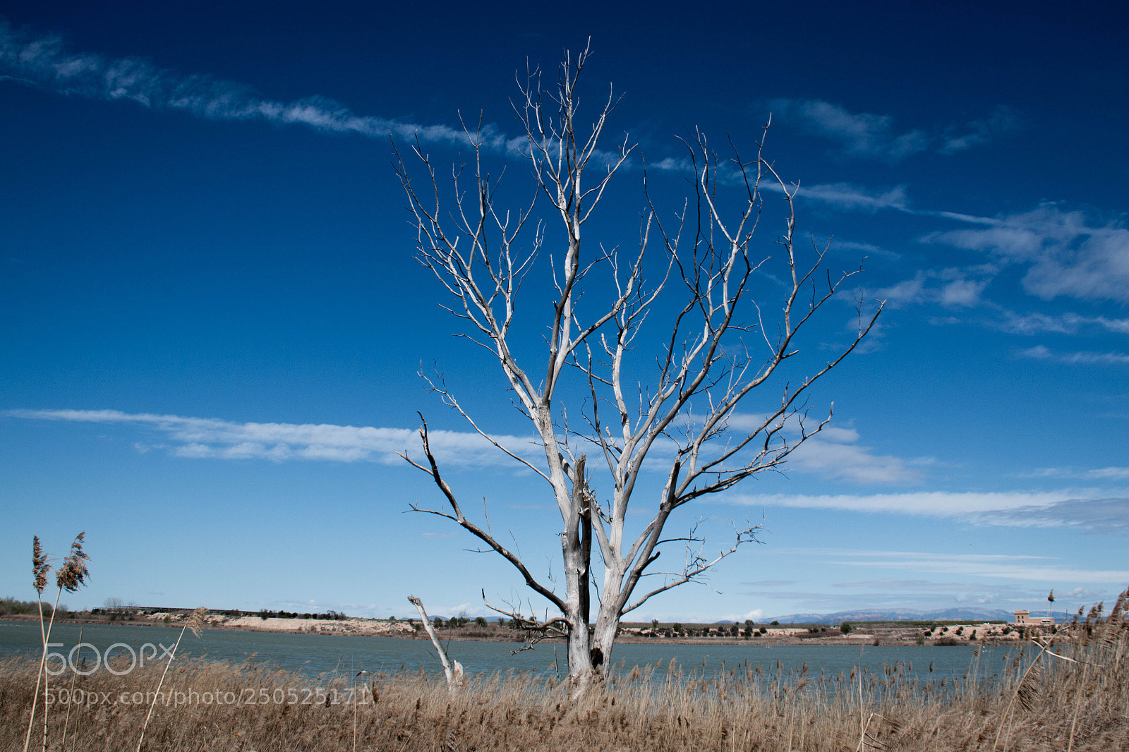 Canon EOS 70D sample photo. Estany d´ivars, lleida photography