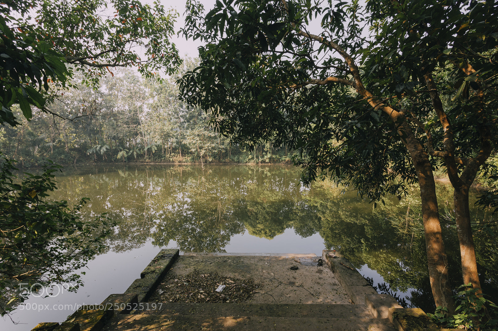 Canon EOS 5D Mark IV sample photo. Ra photography