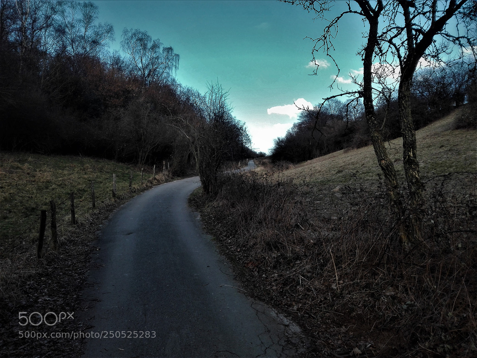 HUAWEI P8 Lite sample photo. Boulevard into the horizon photography