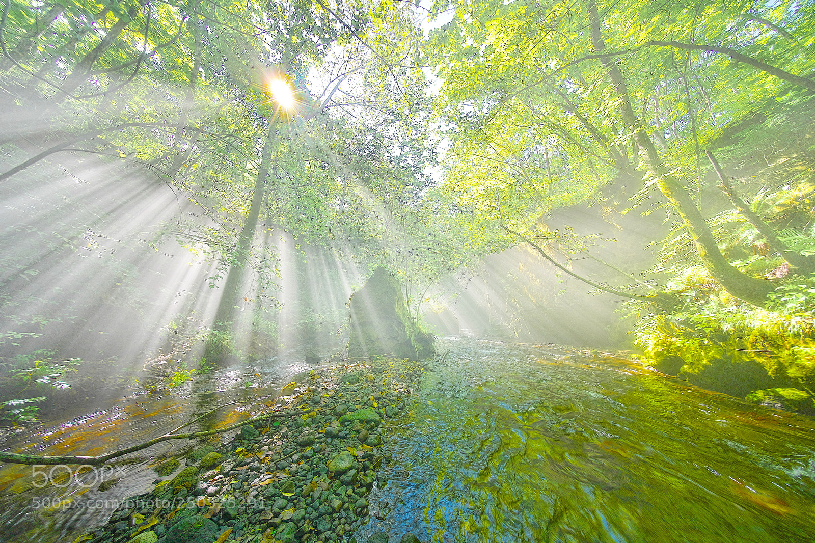 Sony a9 sample photo. Foggy valley photography