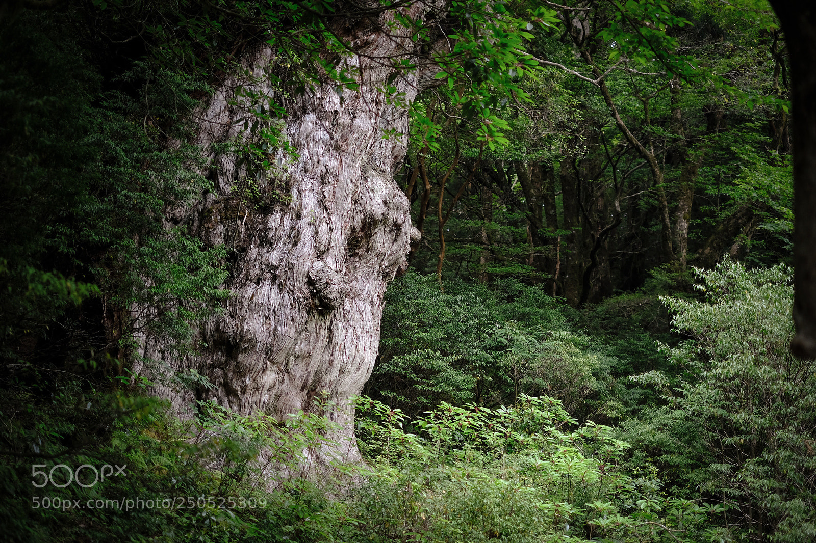 Fujifilm X-Pro2 sample photo. Untitled photography