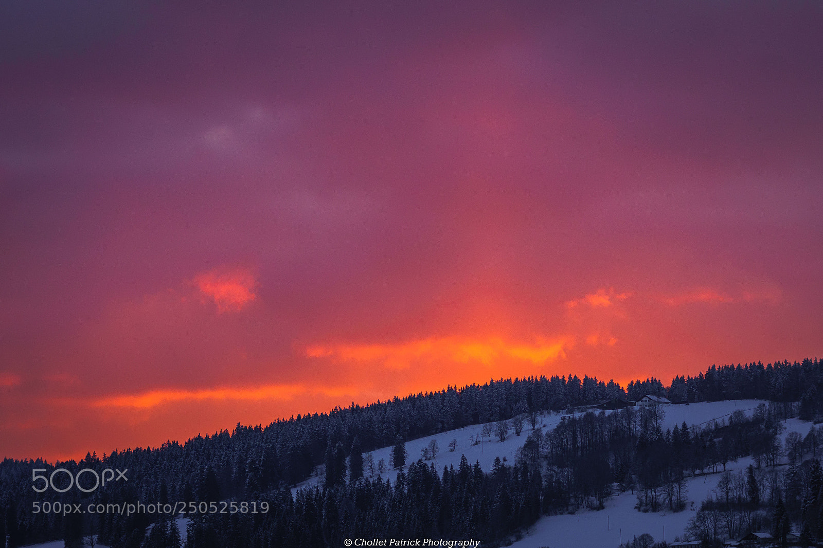 Sony ILCA-77M2 sample photo. Le prin......temps ! - 6 ! photography