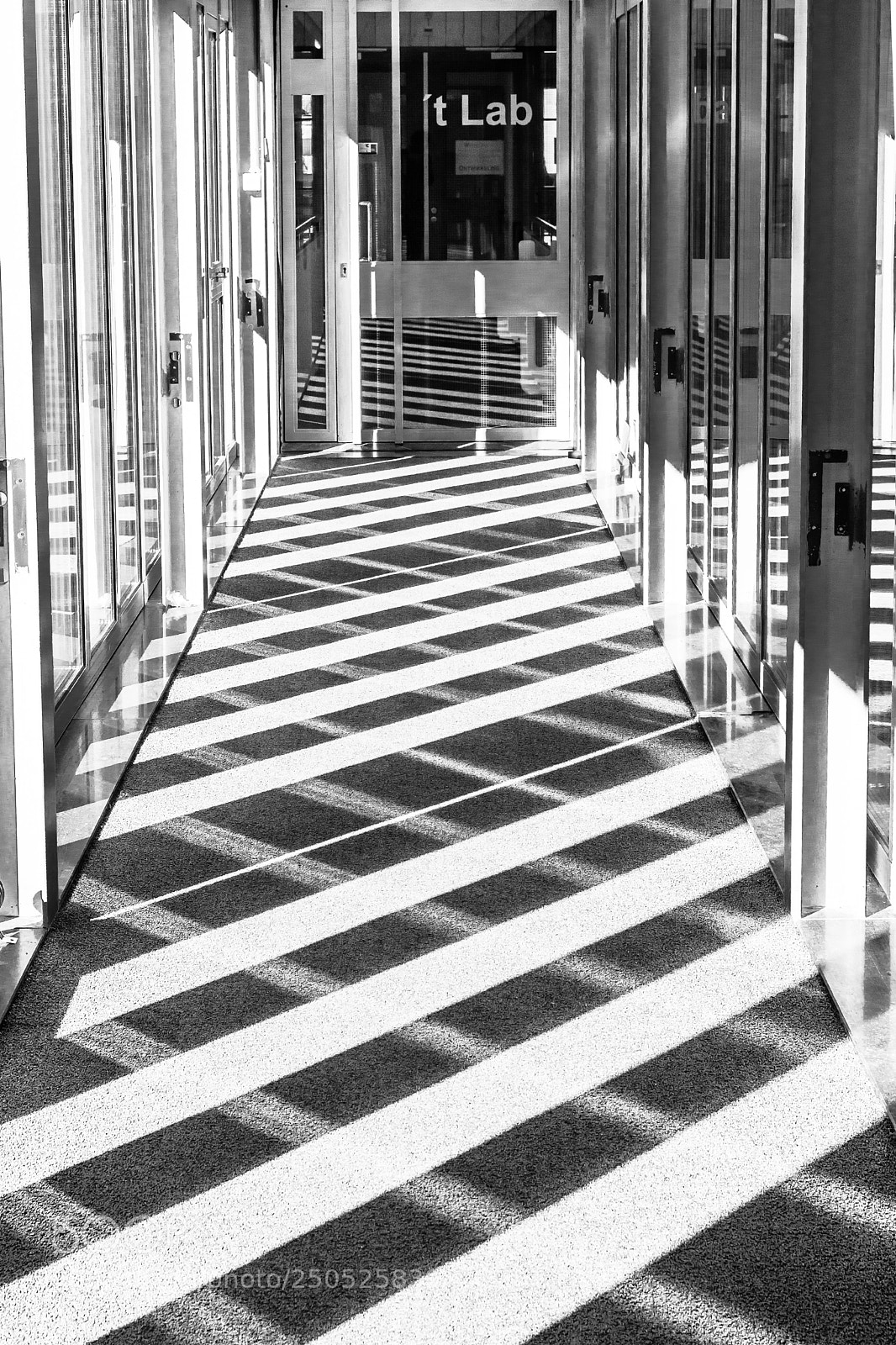 Nikon D7200 sample photo. To the lab photography