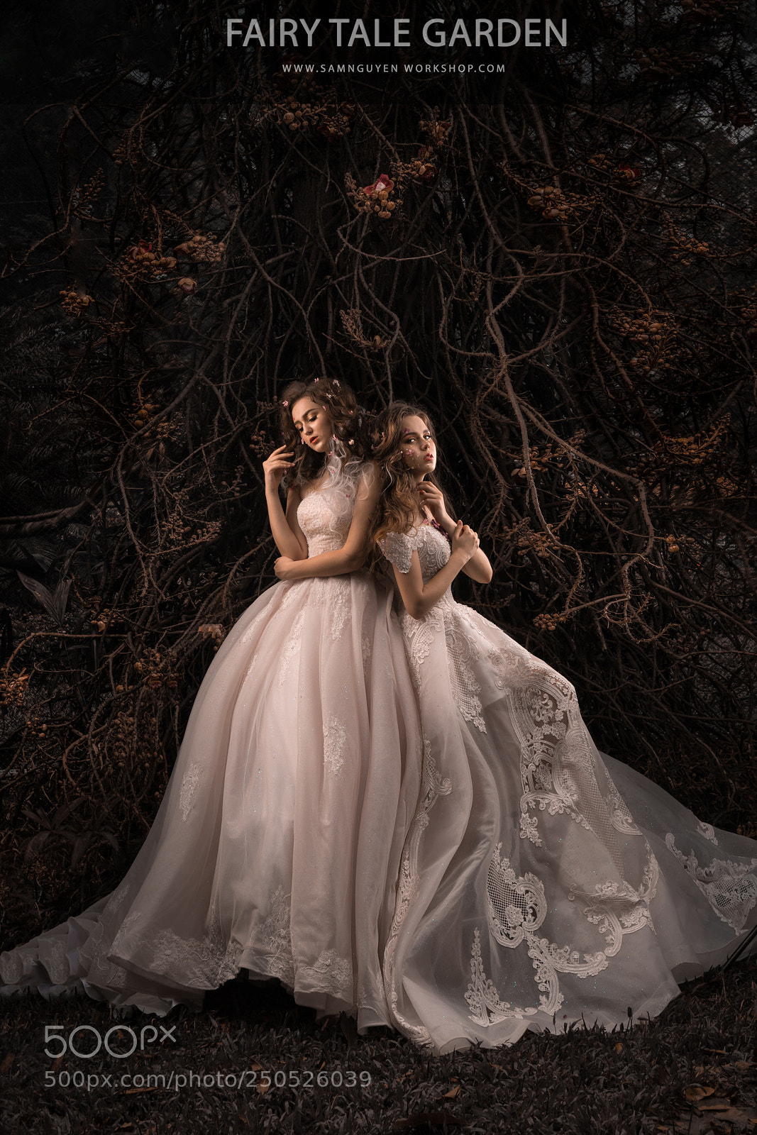 Sony a7R III sample photo. Fairy tale garden by photography