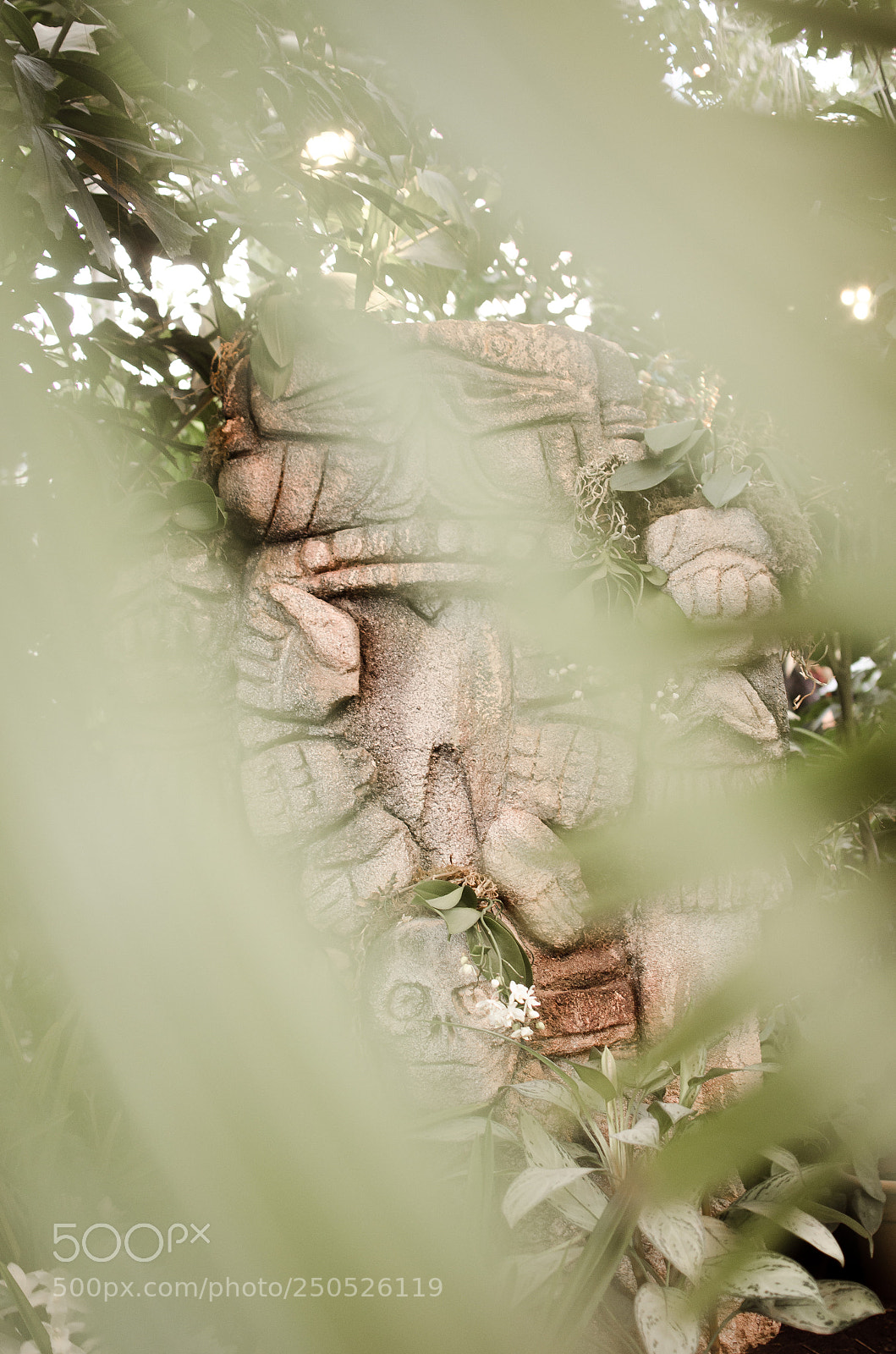 Nikon D5100 sample photo. Botanical garden photography