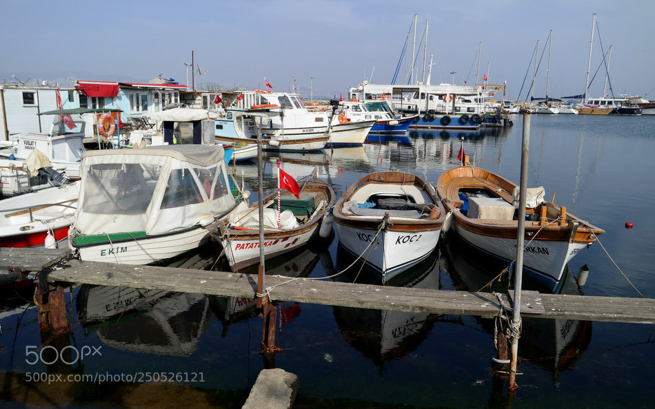 Samsung NX30 sample photo. ... photography