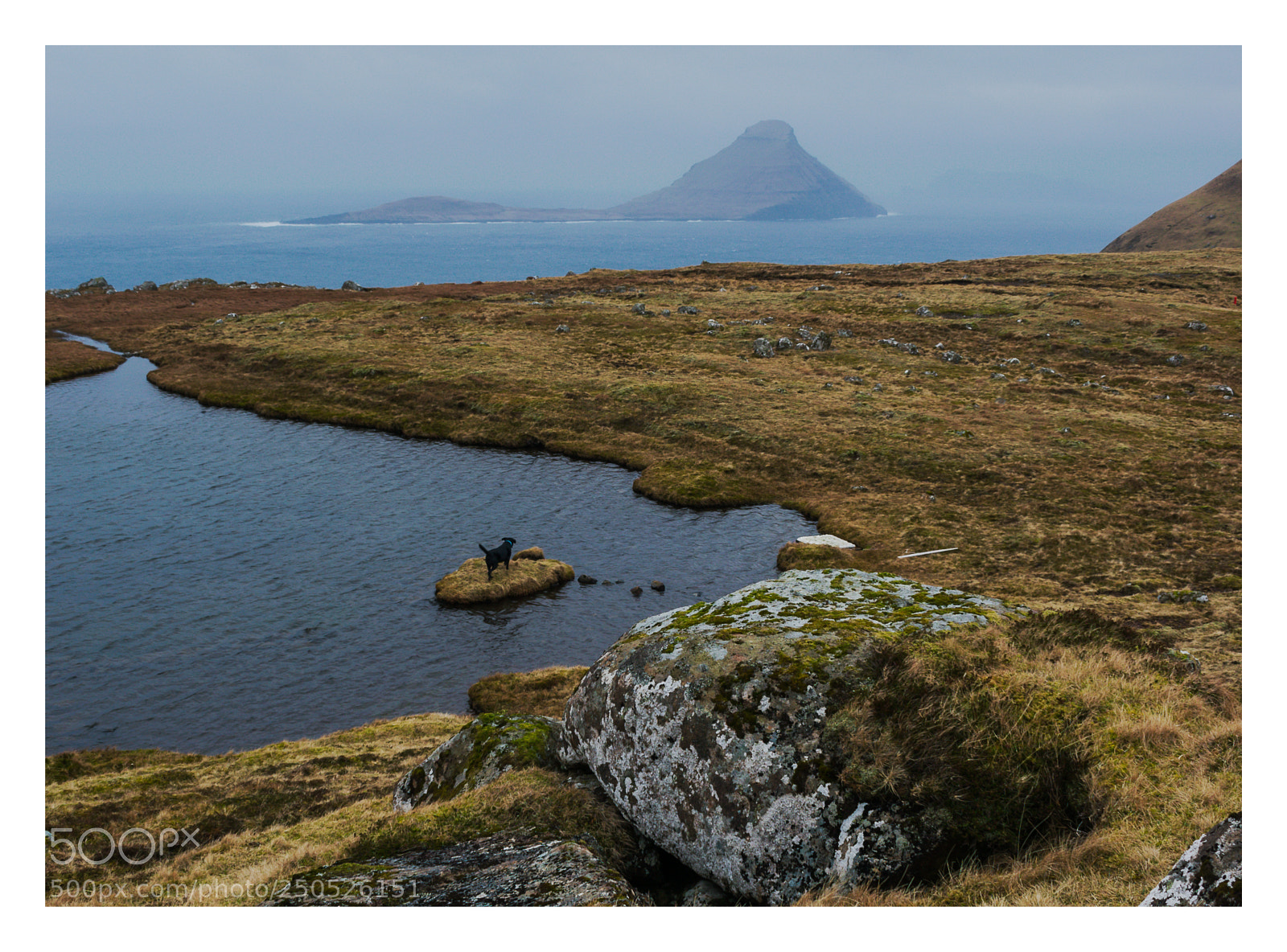 Nikon D3300 sample photo. An island for a photography