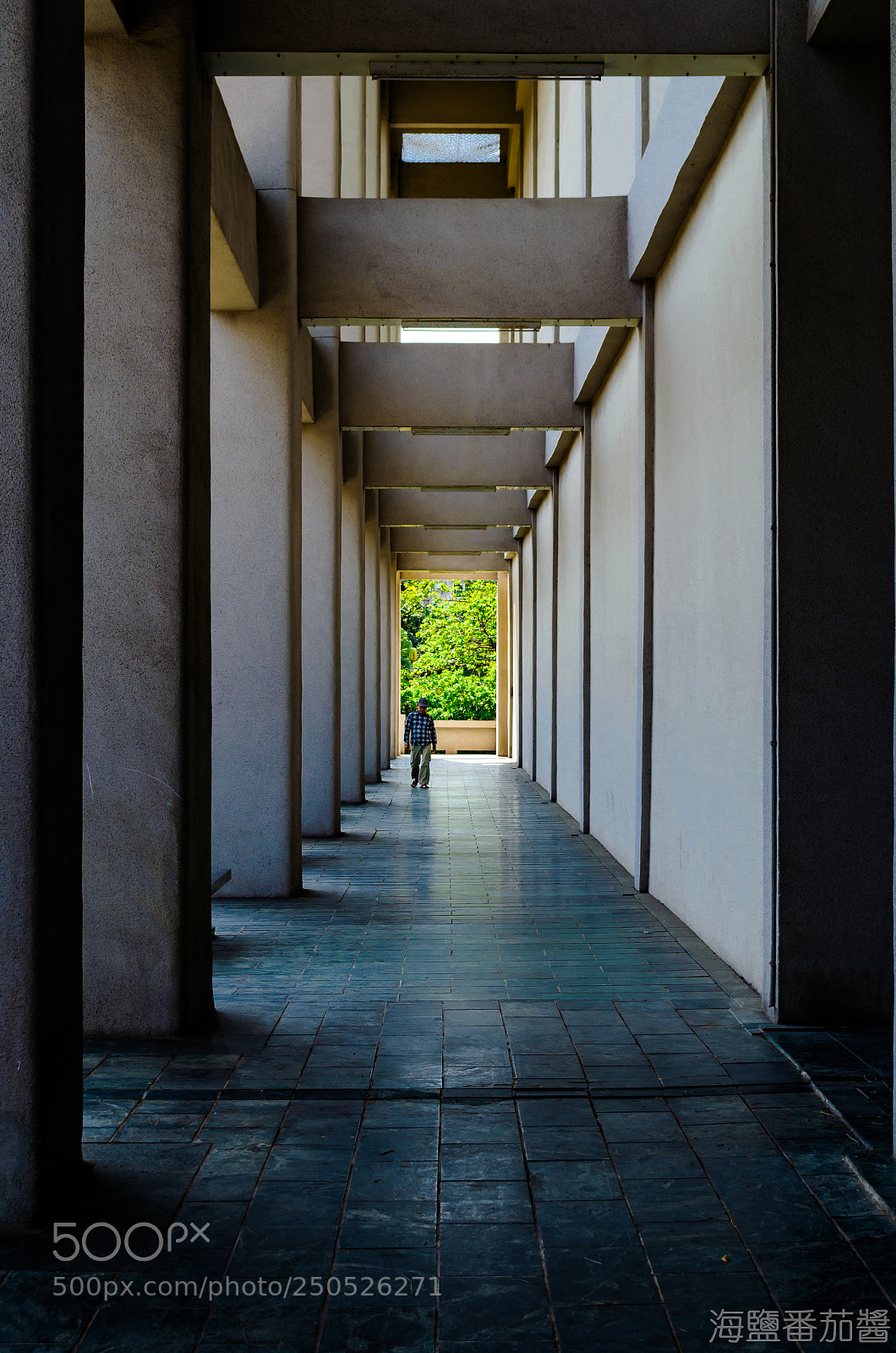 Nikon D5100 sample photo. Passerby photography