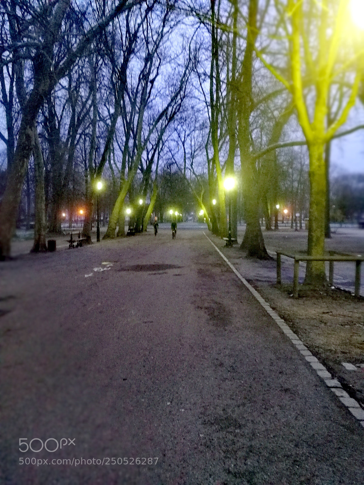 HUAWEI Honor 9 sample photo. Pépinière photography