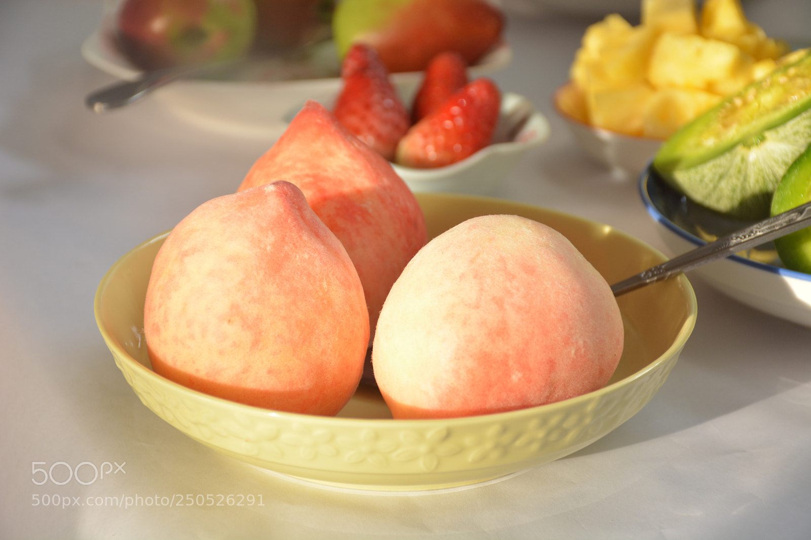 Nikon D7100 sample photo. Untitled photography