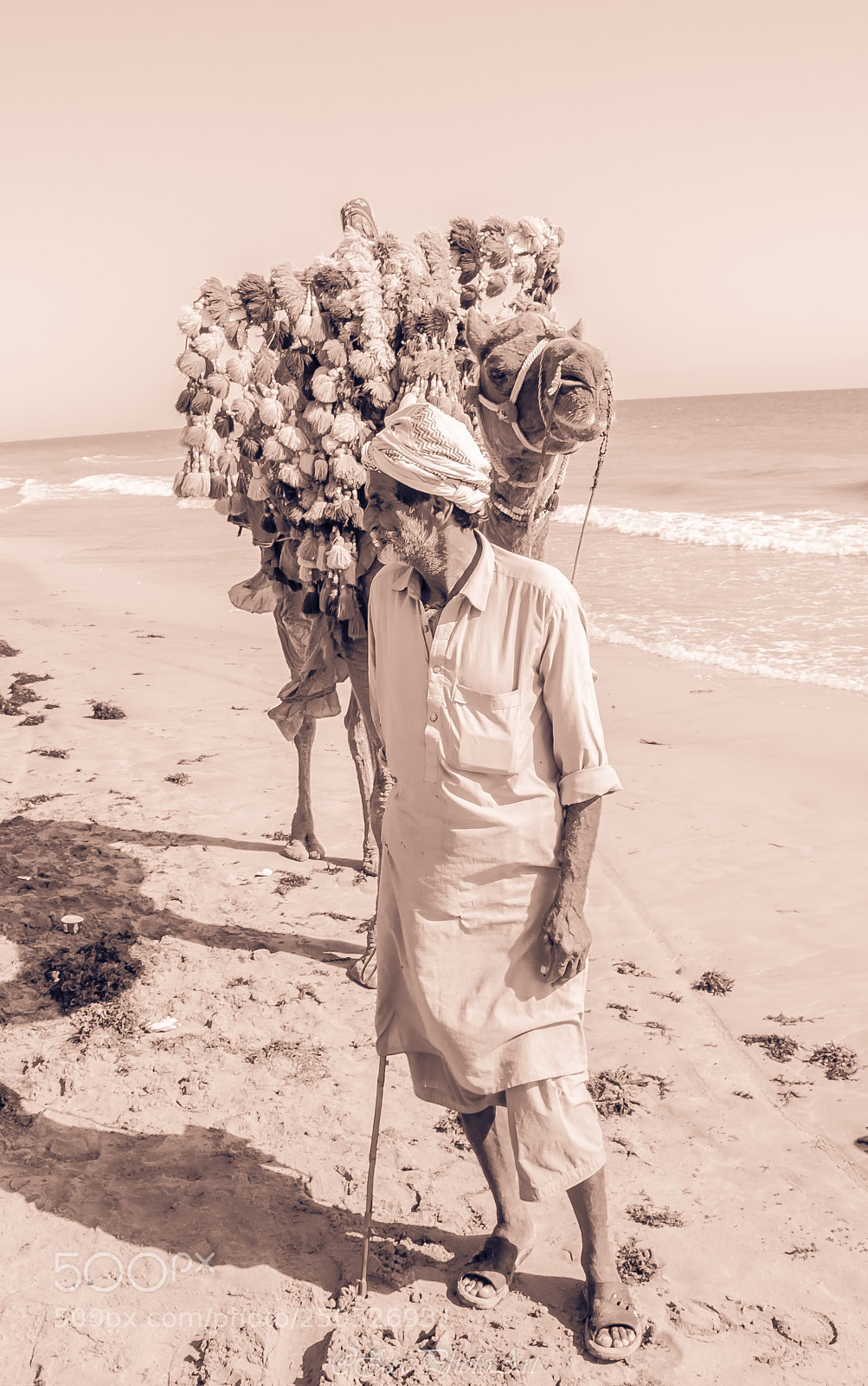 Nikon D5100 sample photo. A man & his friend photography