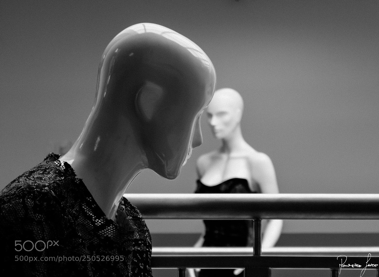 Fujifilm X-T10 sample photo. The fixed expression photography