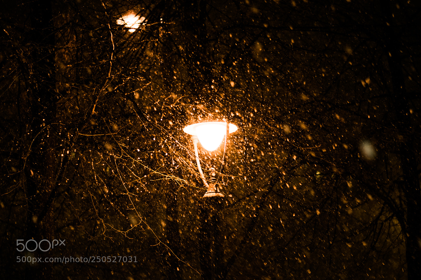 Nikon D3400 sample photo. Heavy snowing photography