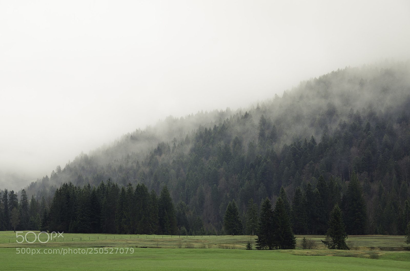 Nikon D7000 sample photo. Misty morning photography
